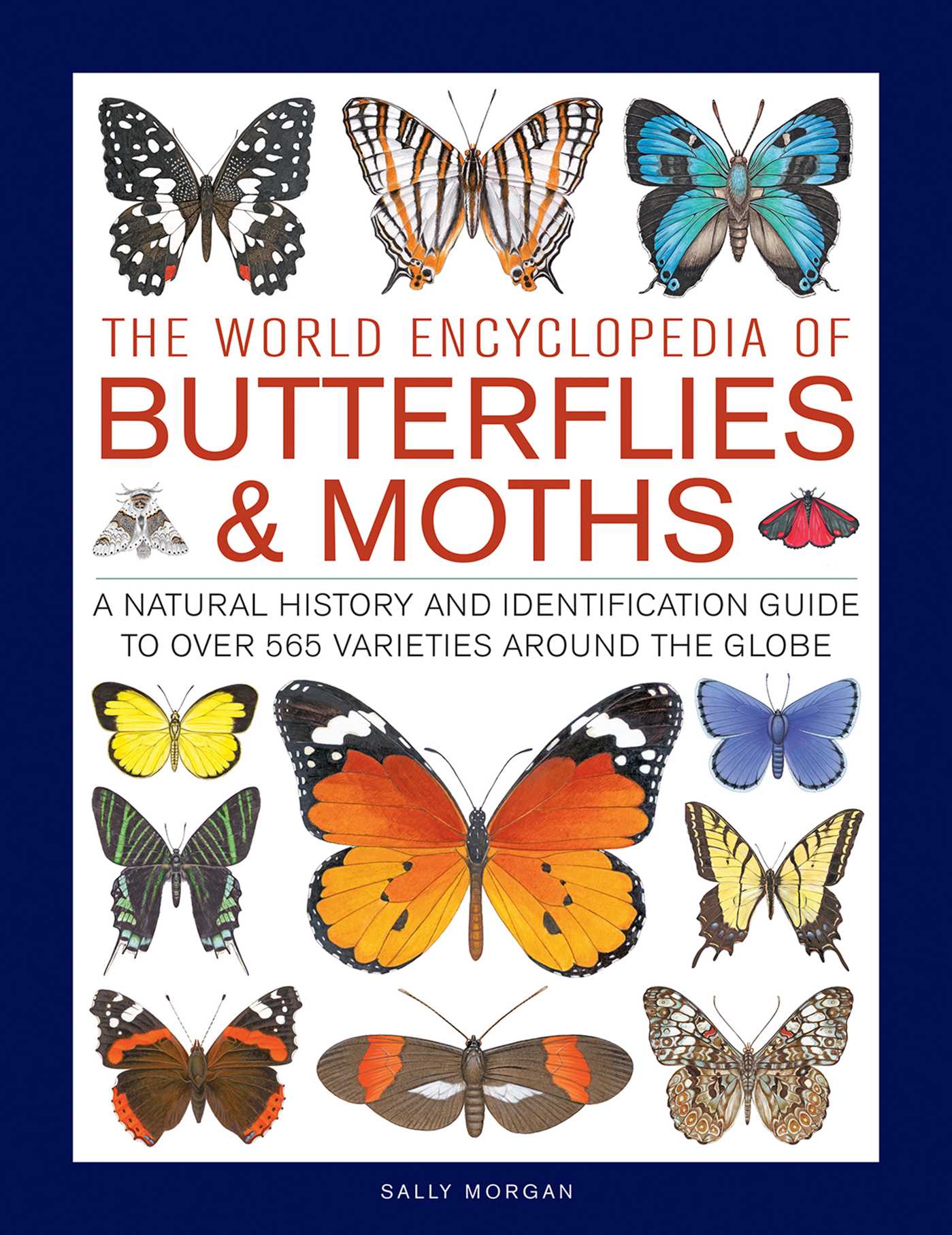 World Encyclopedia of Butterflies & Moths: A Natural History And Identification Guide To Over 565 Varieties Around The Globe