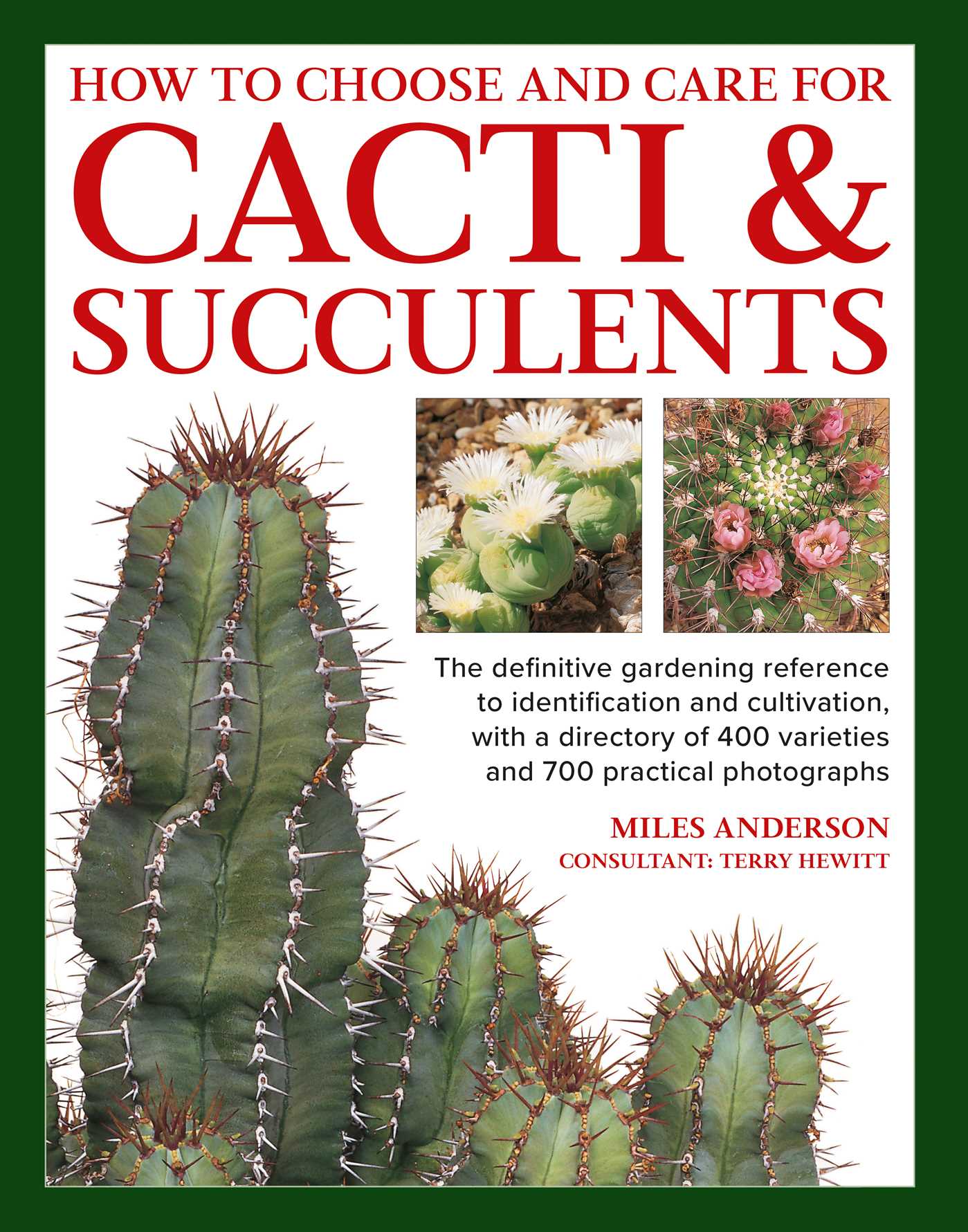How to  Choose and Care for Cacti & Succulents