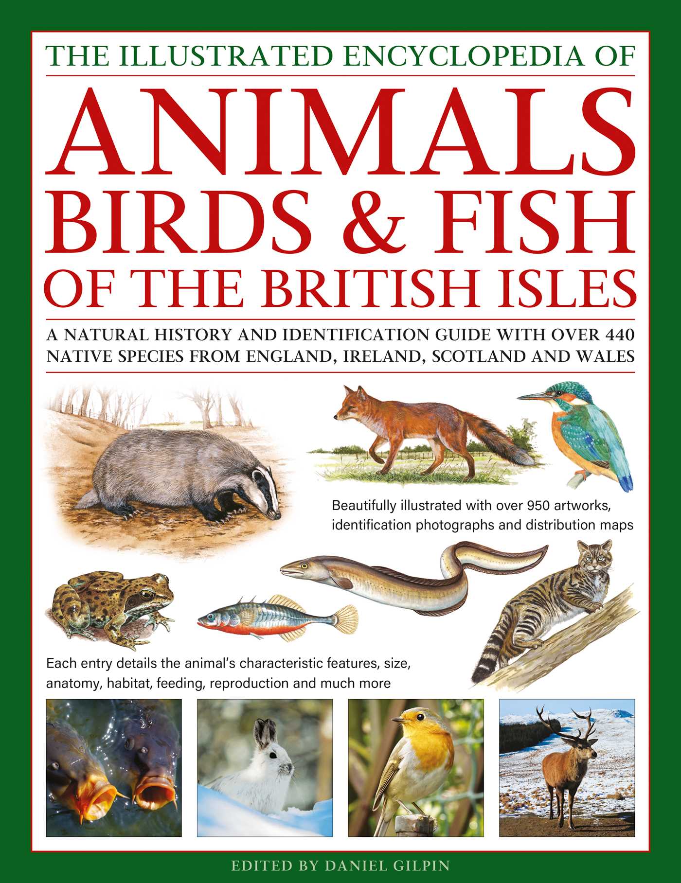Animals, Birds & Fish of the British Isles, Illustrated Encyclopedia of: A natural history and identification guide with over 440 native species from England, Ireland, Scotland and Wales
