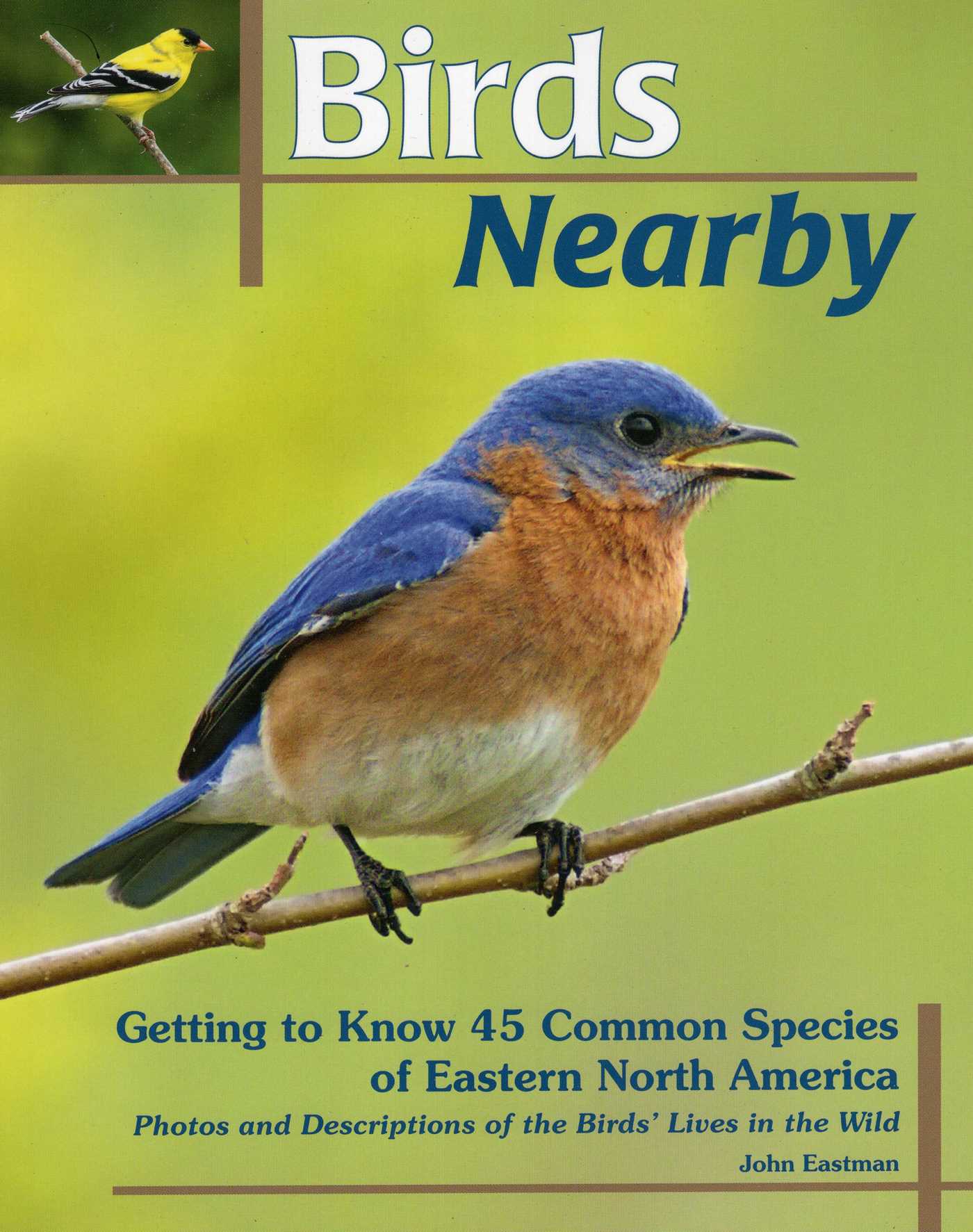 Birds Nearby