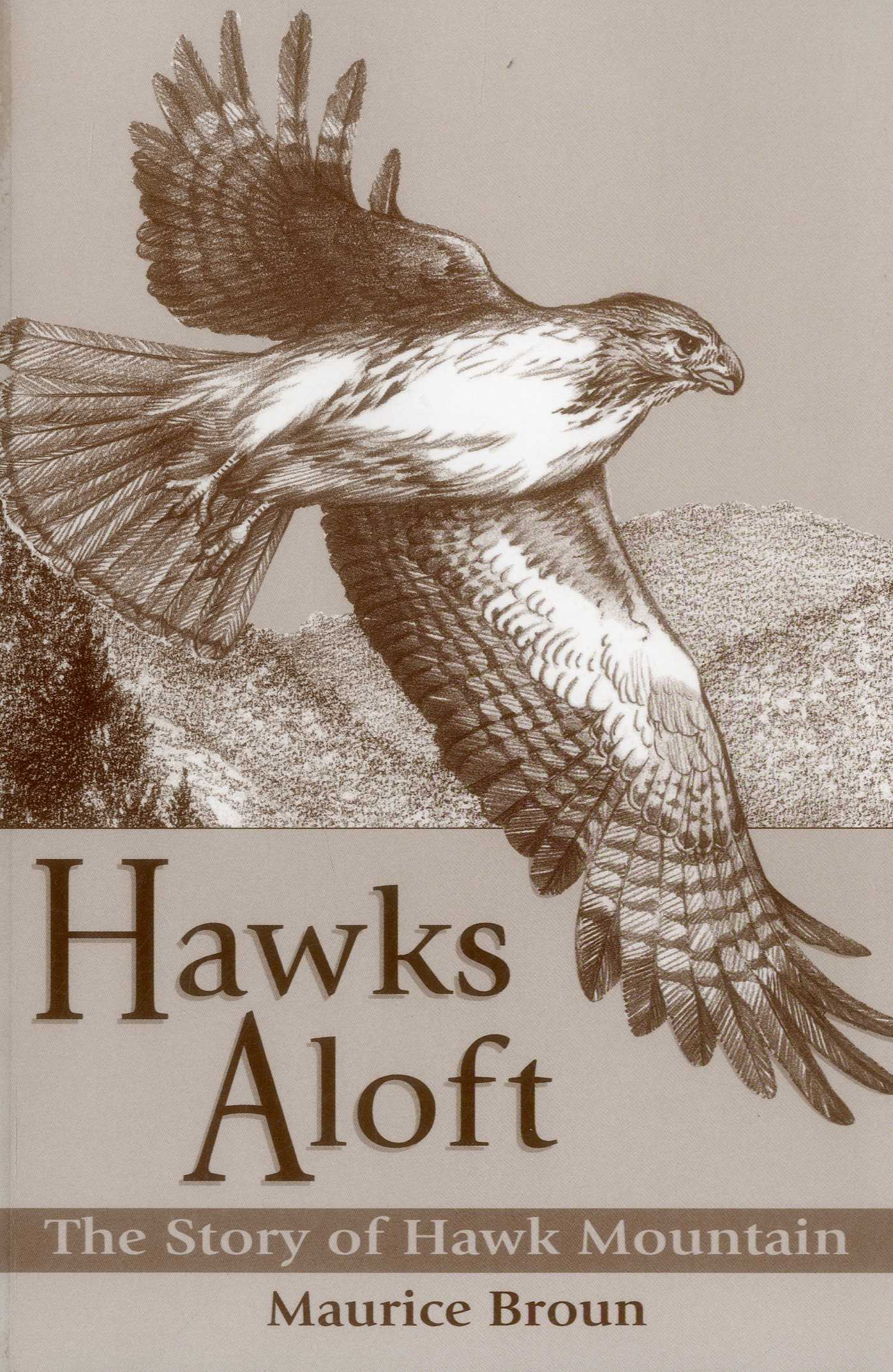 Hawks Aloft