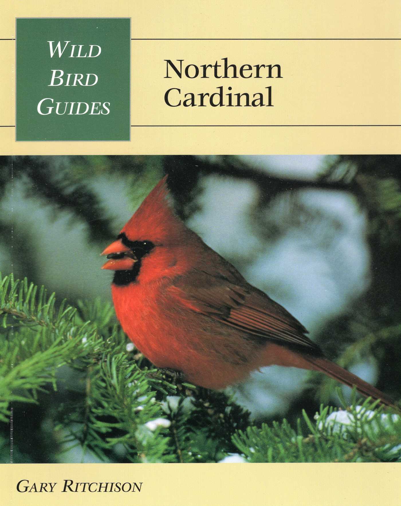 Wild Bird Guide: Northern Cardinal
