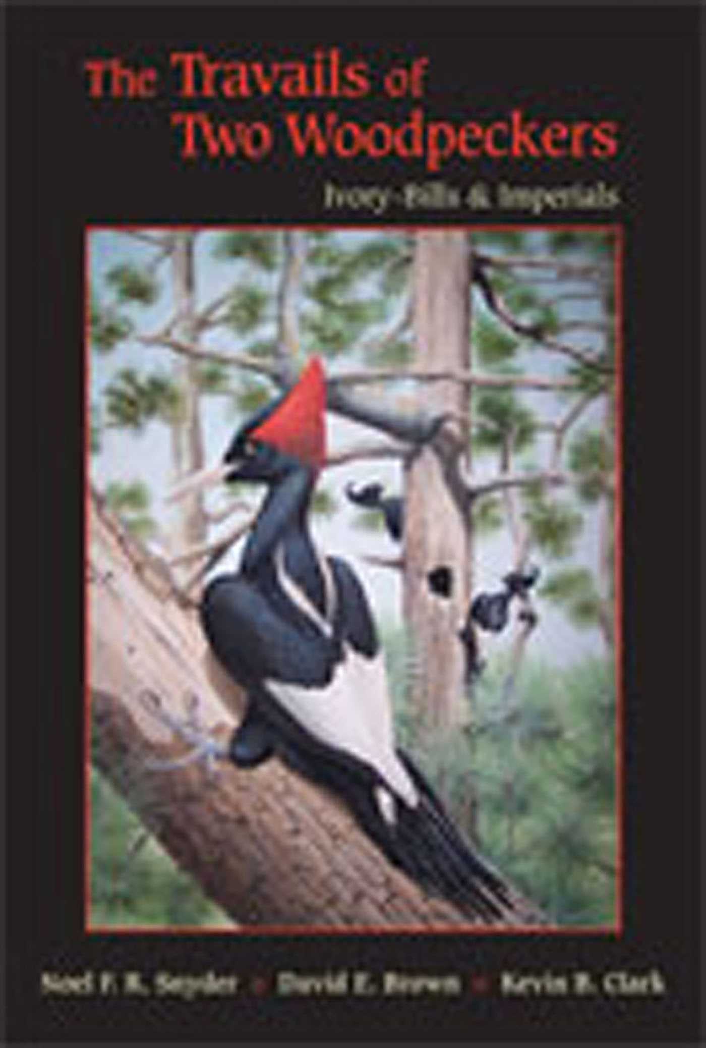 Travails of Two Woodpeckers: Ivory-Bills and Imperials