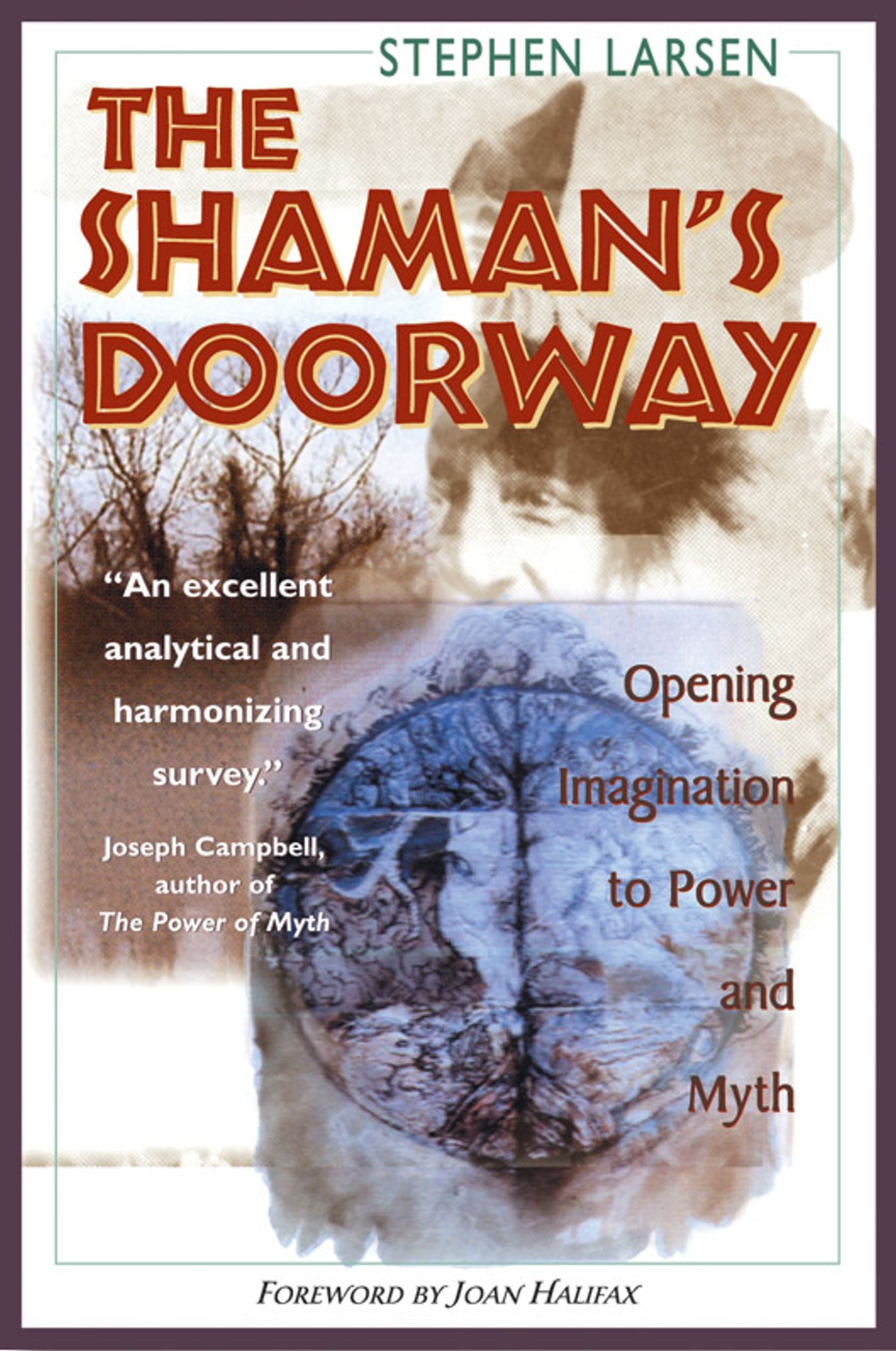 Shaman's Doorway: Opening Imagination to Power and Myth