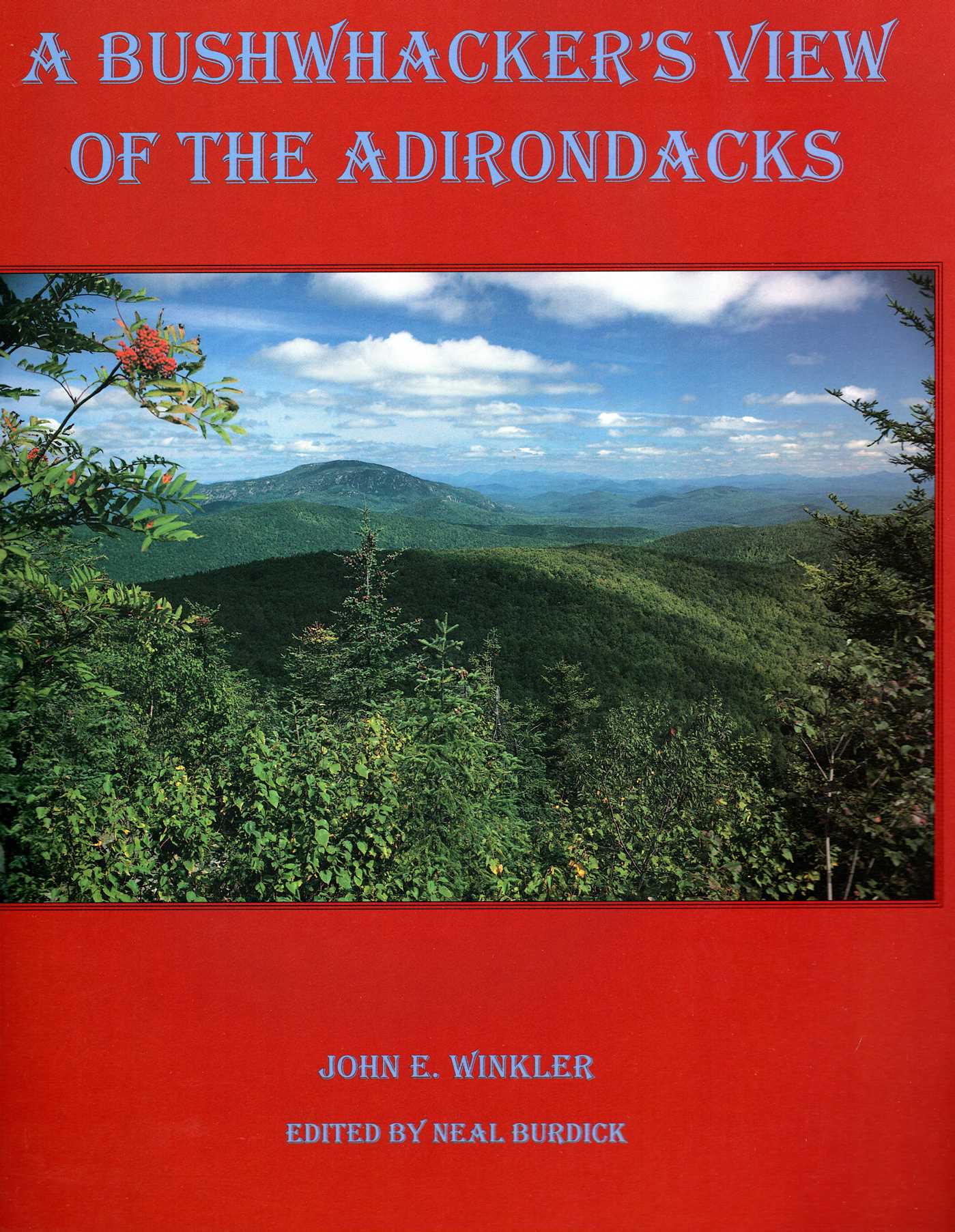 Bushwhacker'S View Of The Adirondacks