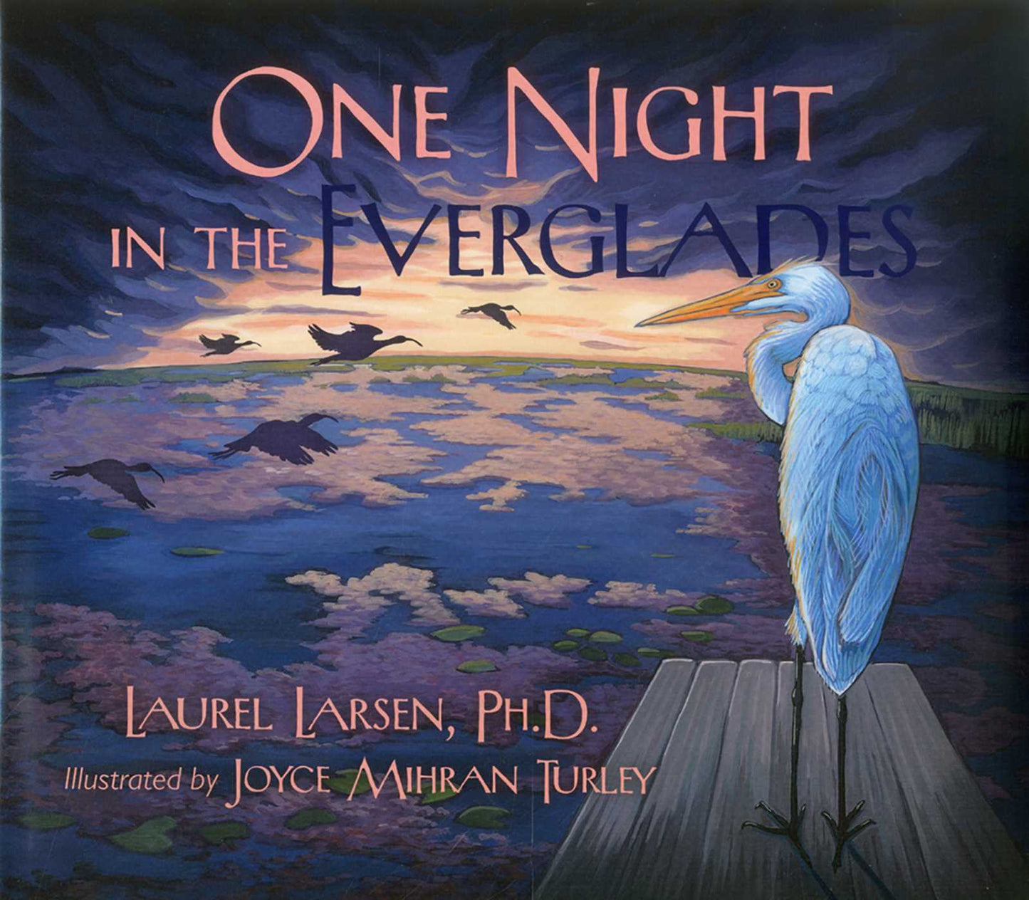 One Night in the Everglades