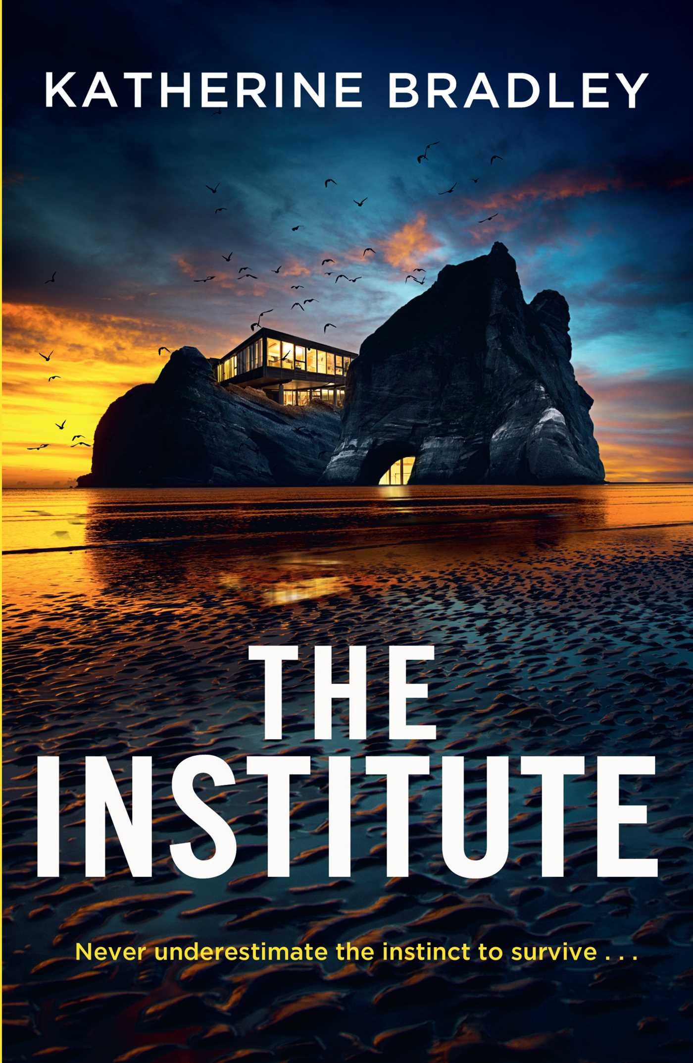 Institute: A darkly gripping high-concept thriller about the limits of connection and control, perfect for fans of Black Mirror