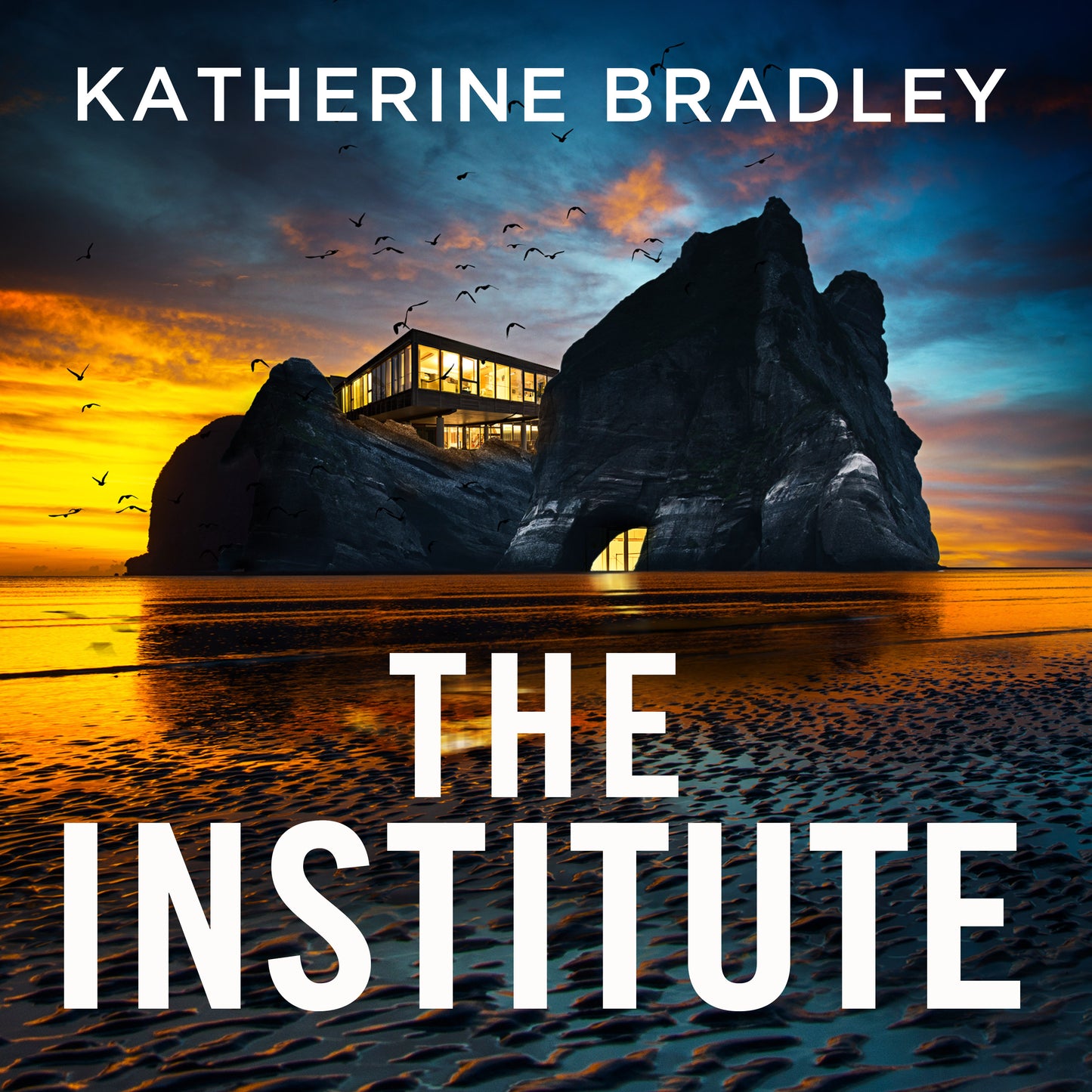 Institute: A darkly gripping high-concept thriller about the limits of connection and control, perfect for fans of Black Mirror