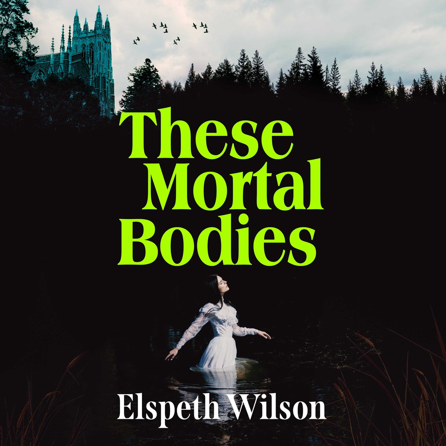These Mortal Bodies