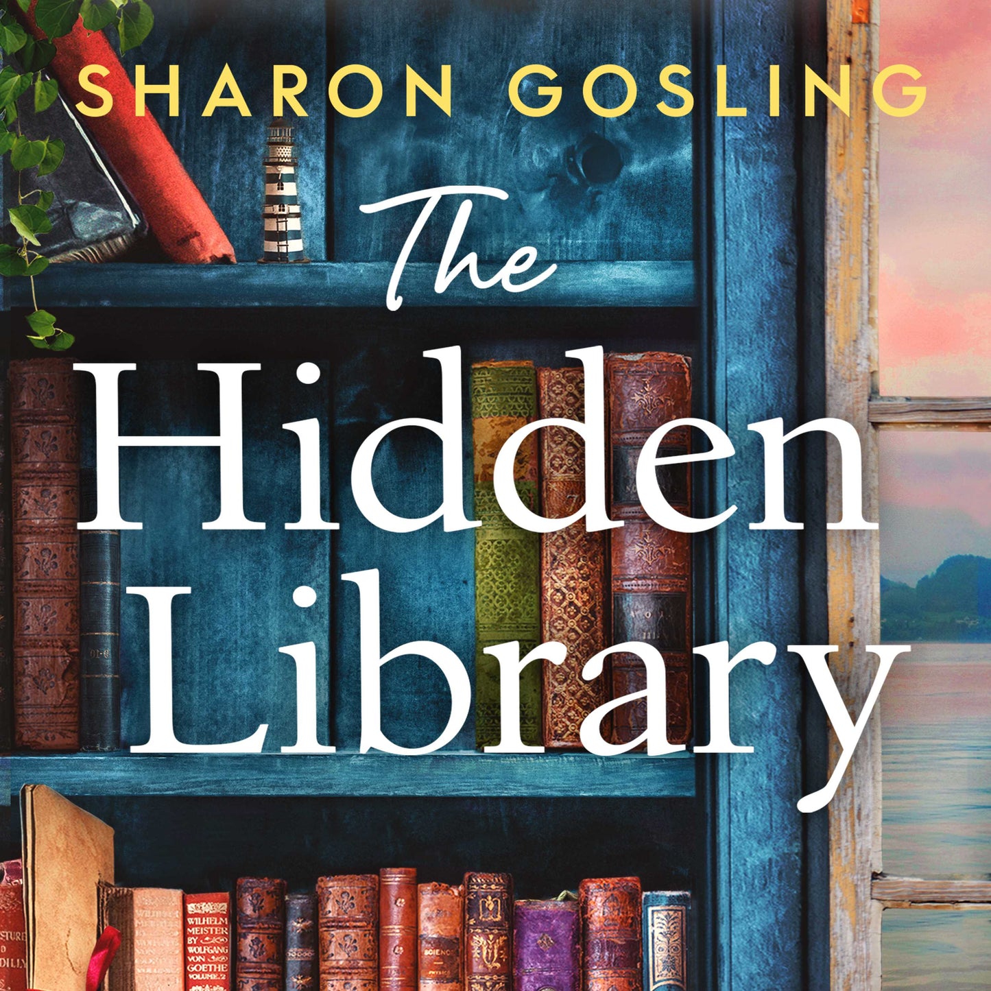 Hidden Library: Heartwarming and charming – the perfect read for book lovers!