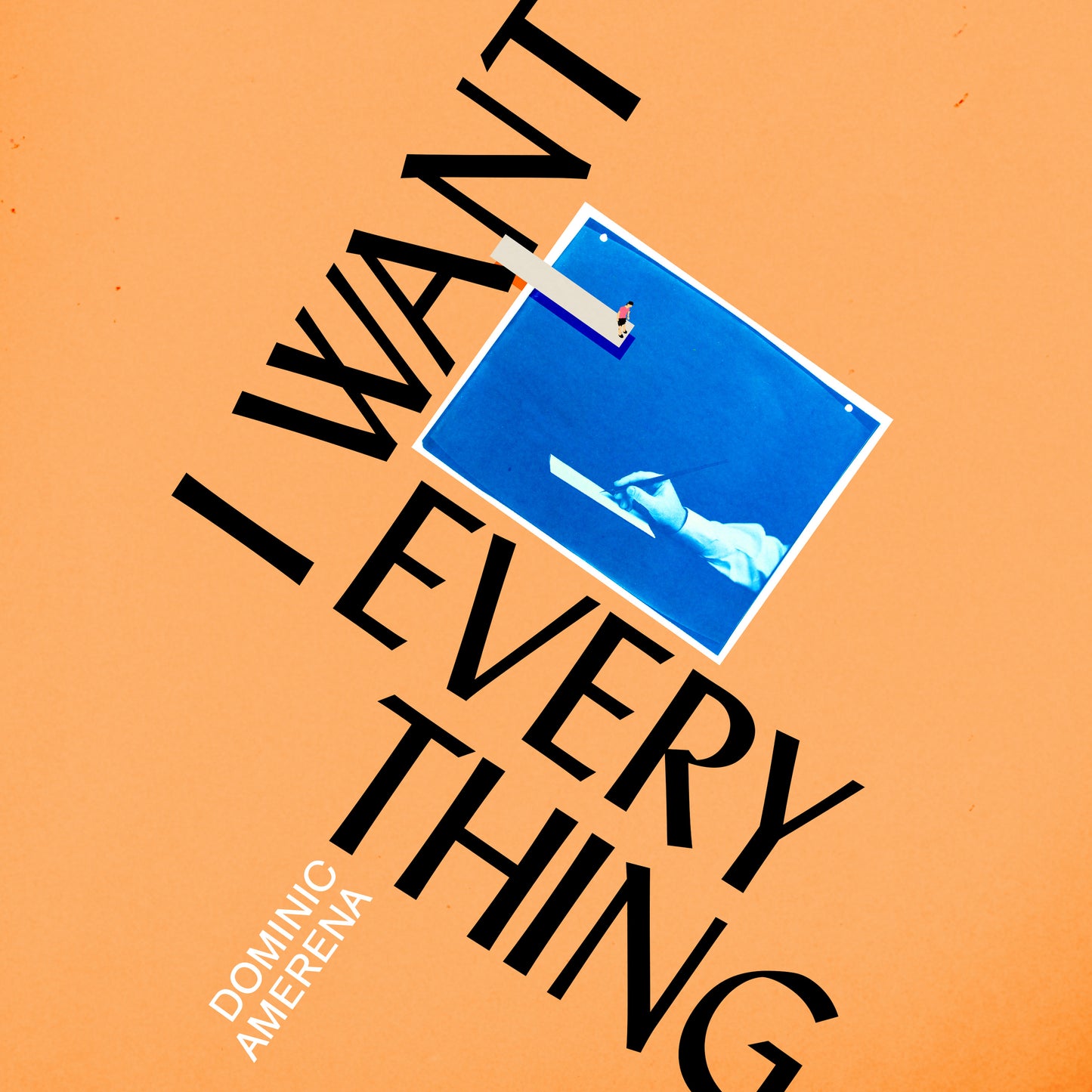 I Want Everything