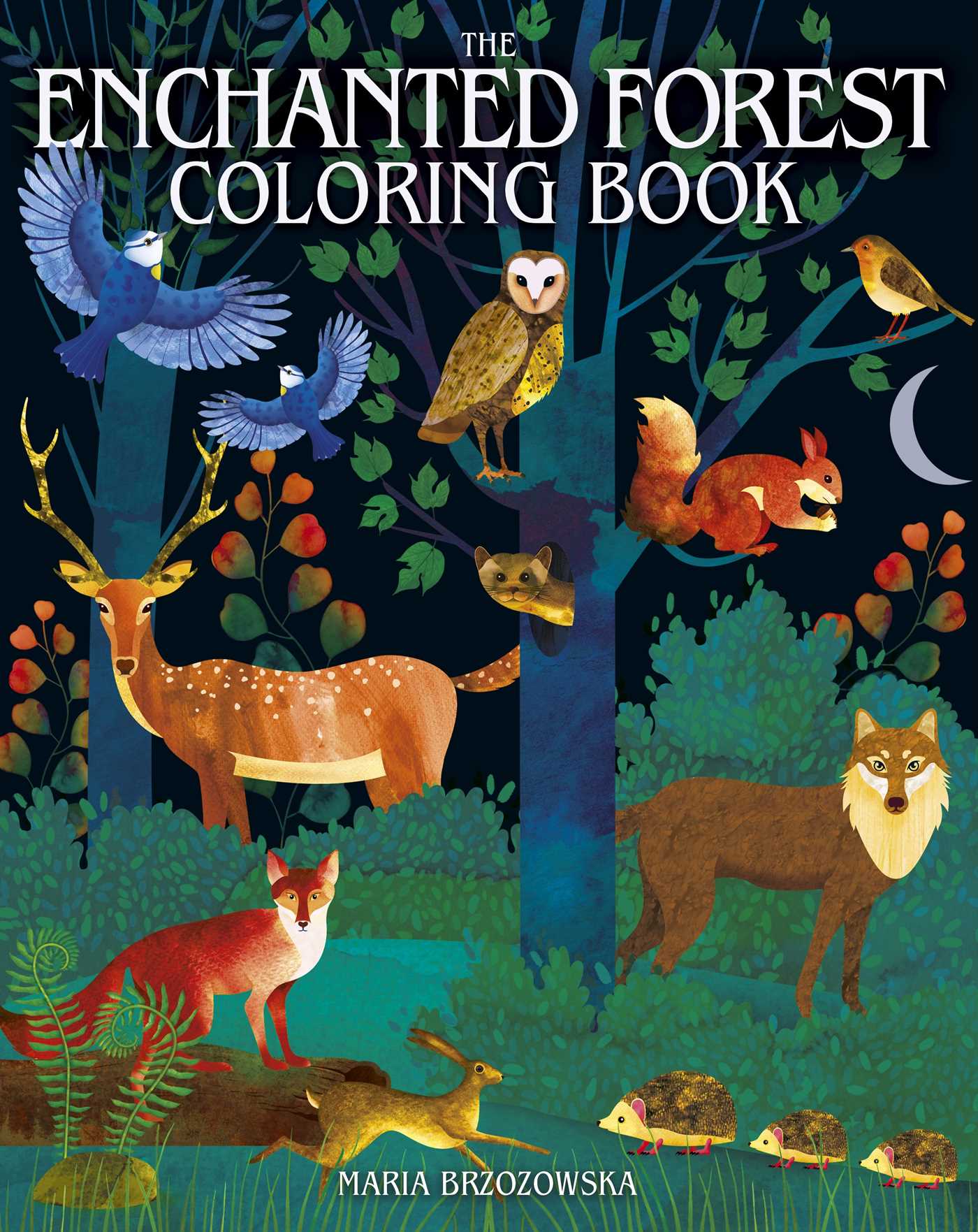 Enchanted Forest Coloring Book