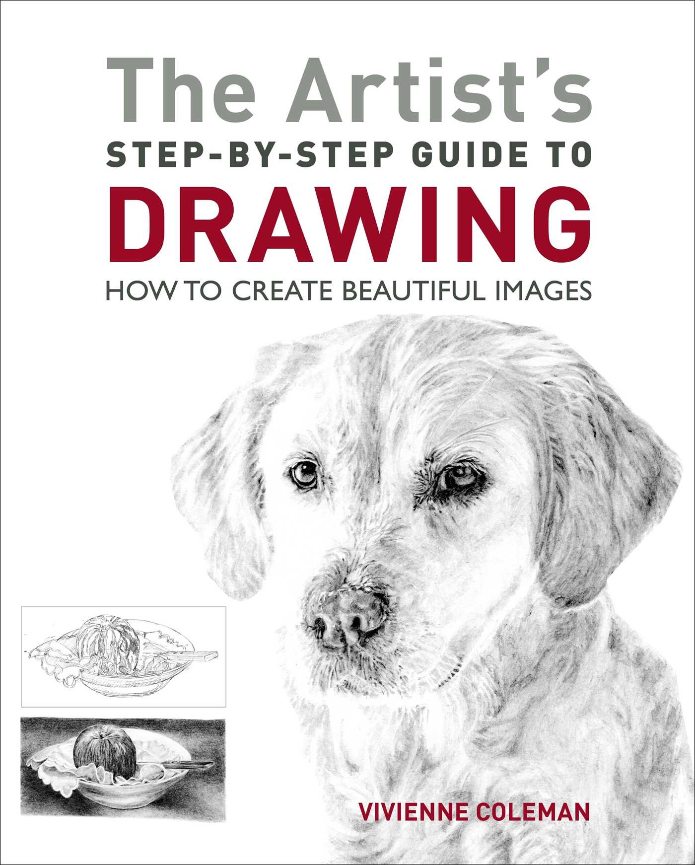 Artist's Step-by-Step Guide to Drawing: How to Create Beautiful Images