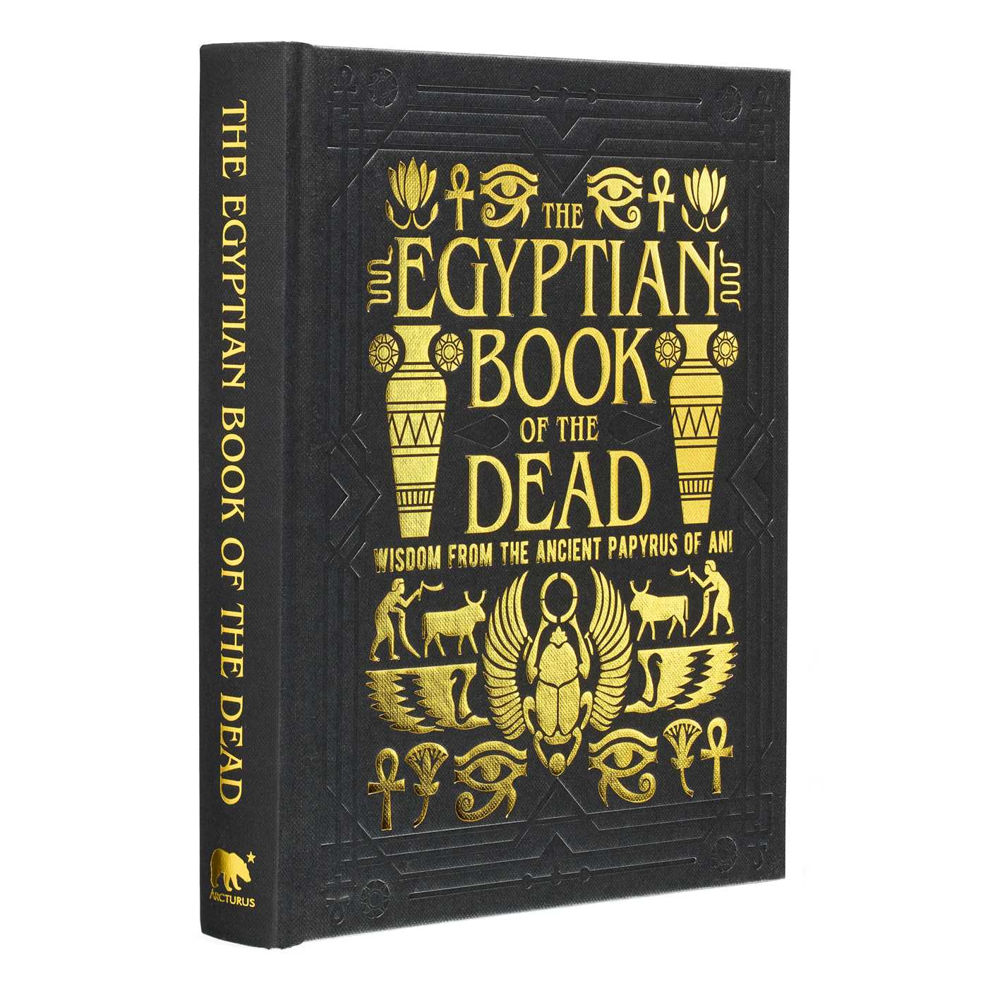 Egyptian Book of the Dead: Wisdom of the Ancient Papyrus of Ani