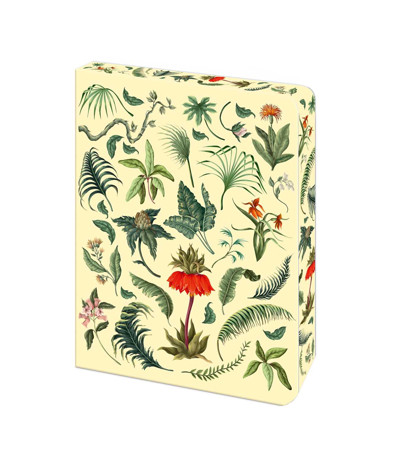 Fern Journal: Blank Lined Notebook