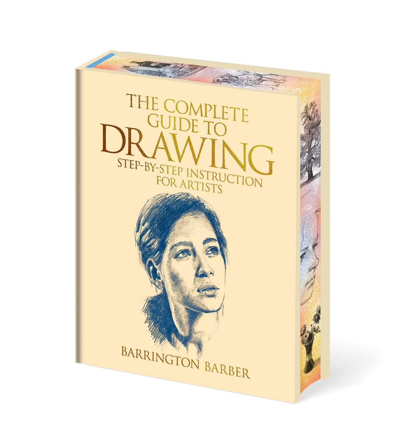 Complete Guide to Drawing: Essential Skills for Every Artist