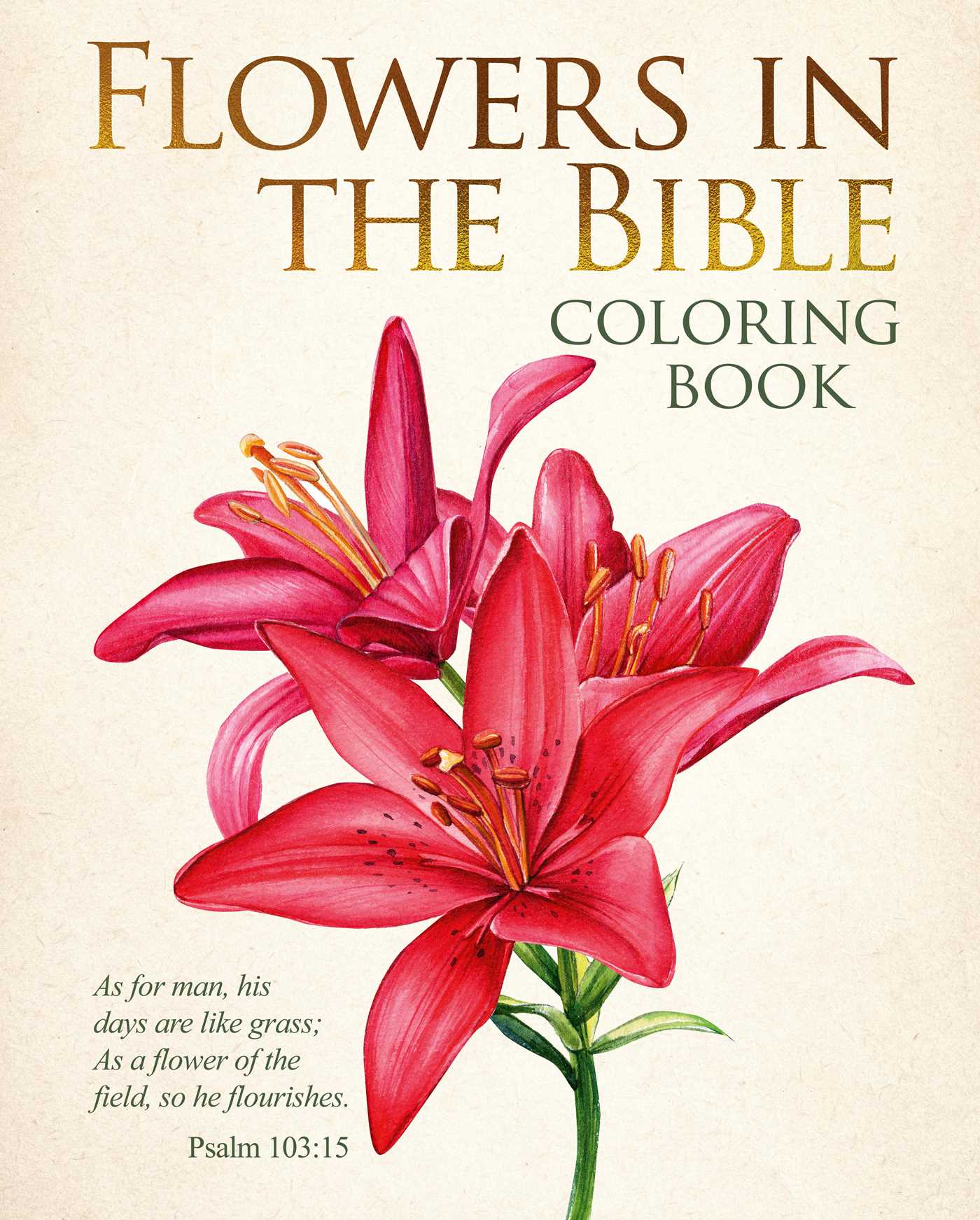 Flowers in the Bible Coloring Book