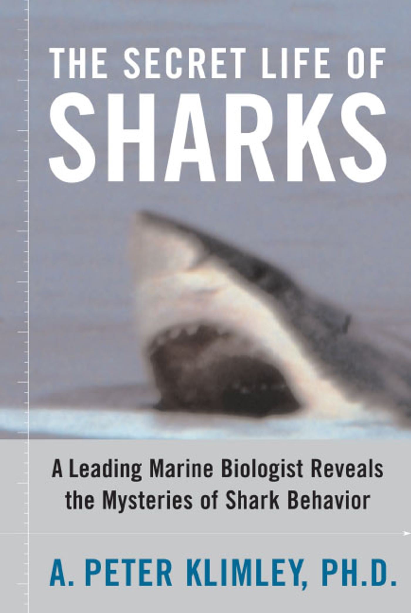 Secret Life of Sharks: A Leading Marine Biologist Reveals the Mysteries of Shark Behavior