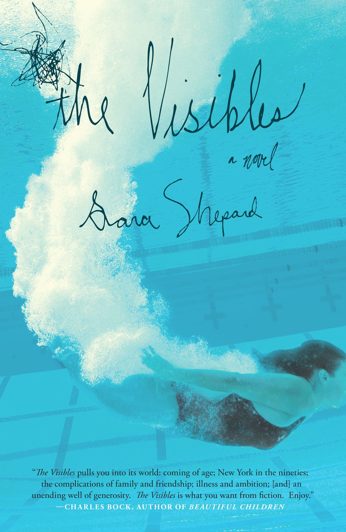 Visibles: A Novel
