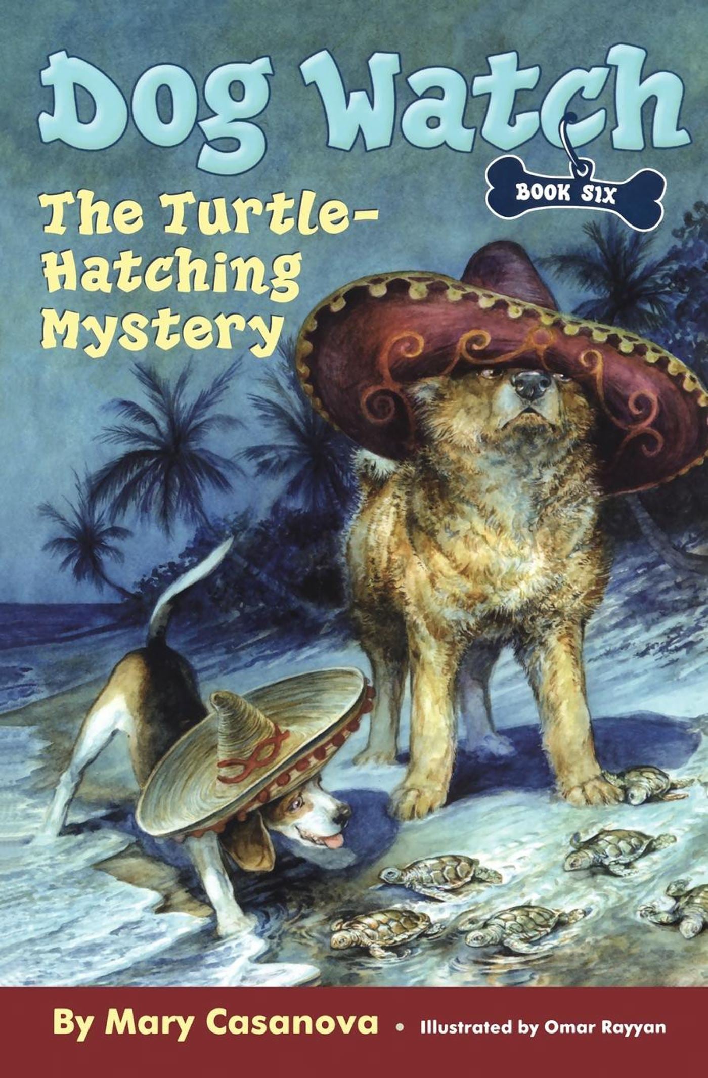 Turtle-Hatching Mystery