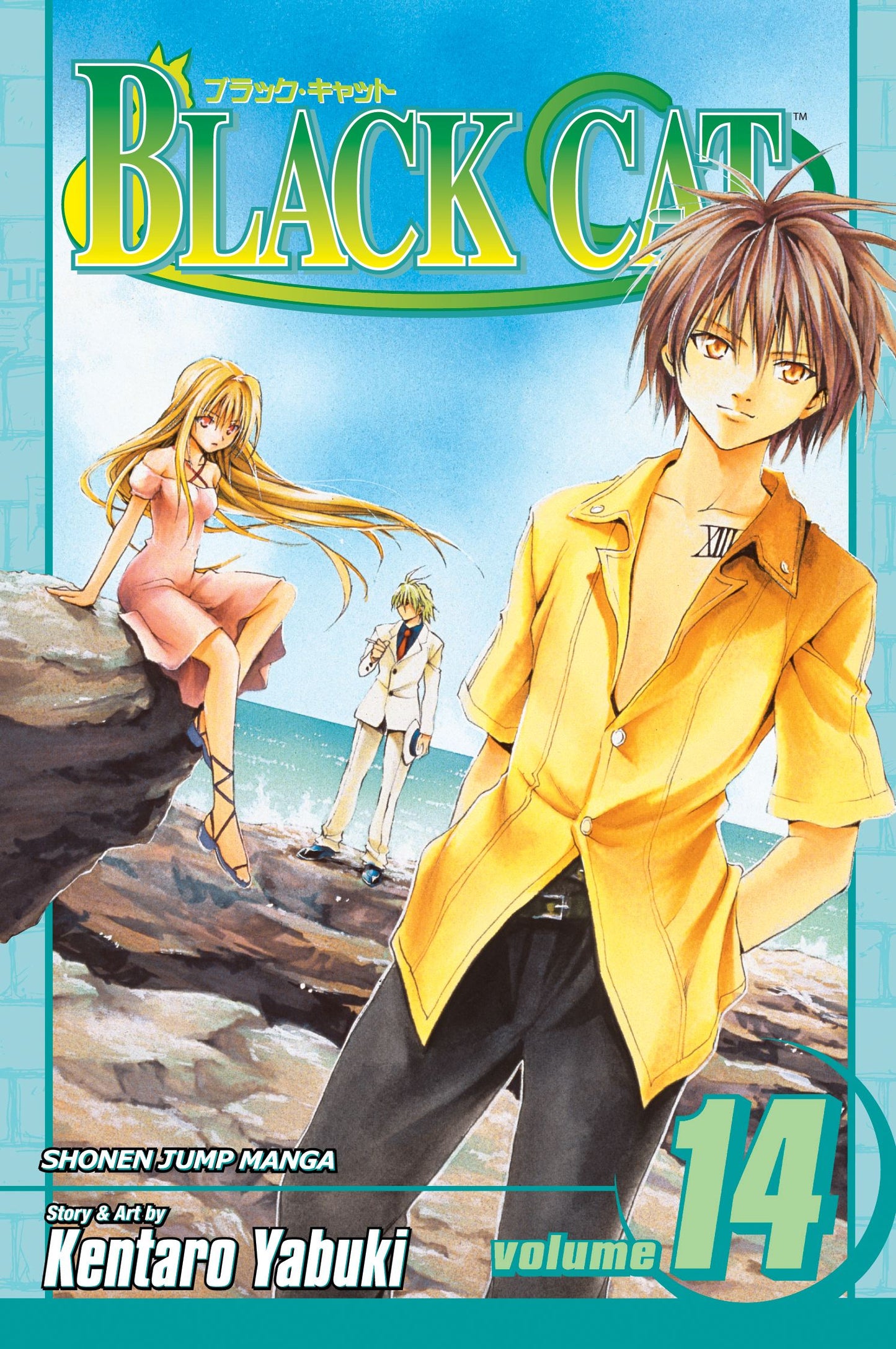Black Cat, Vol. 14