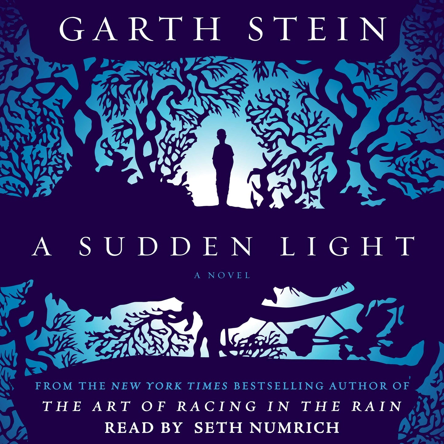 Sudden Light: A Novel
