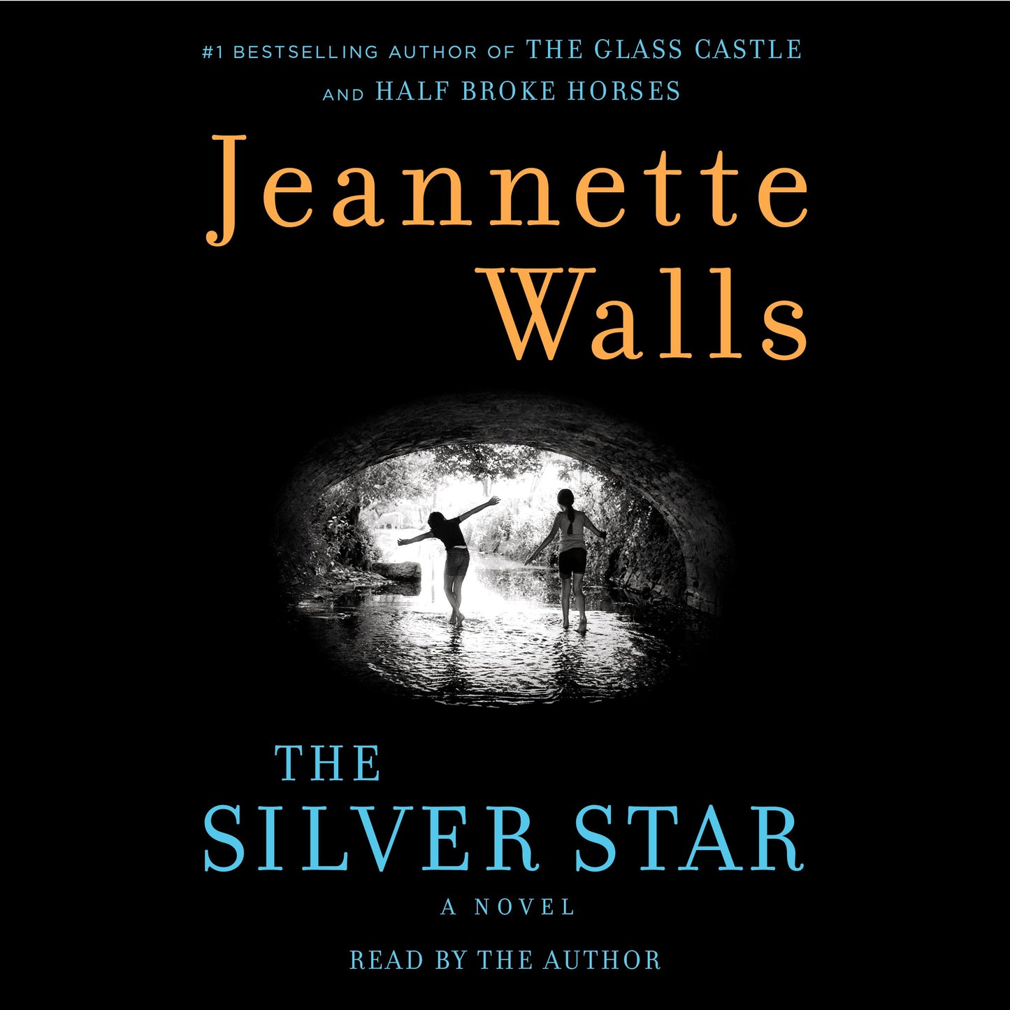 Silver Star: A Novel