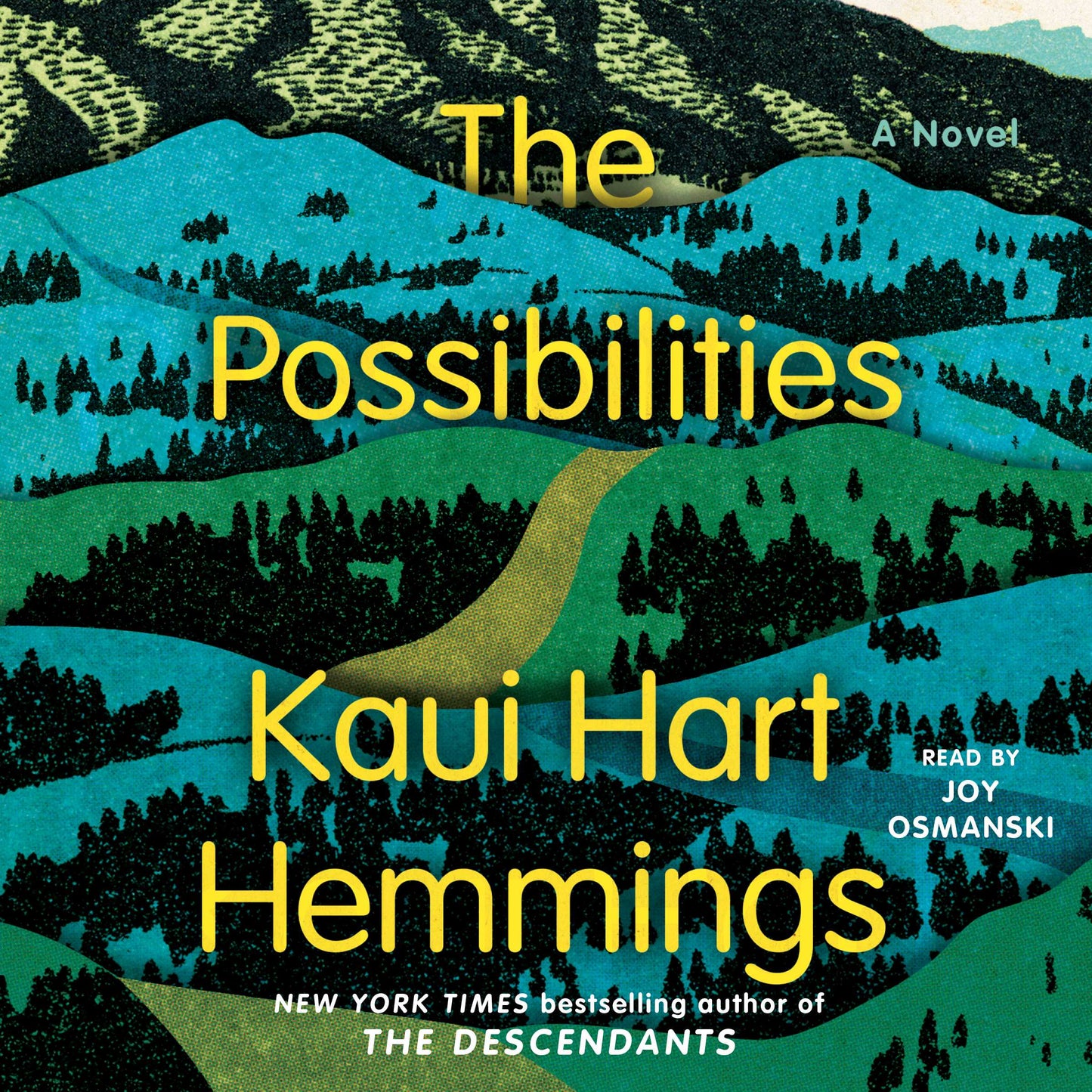 Possibilities: A Novel
