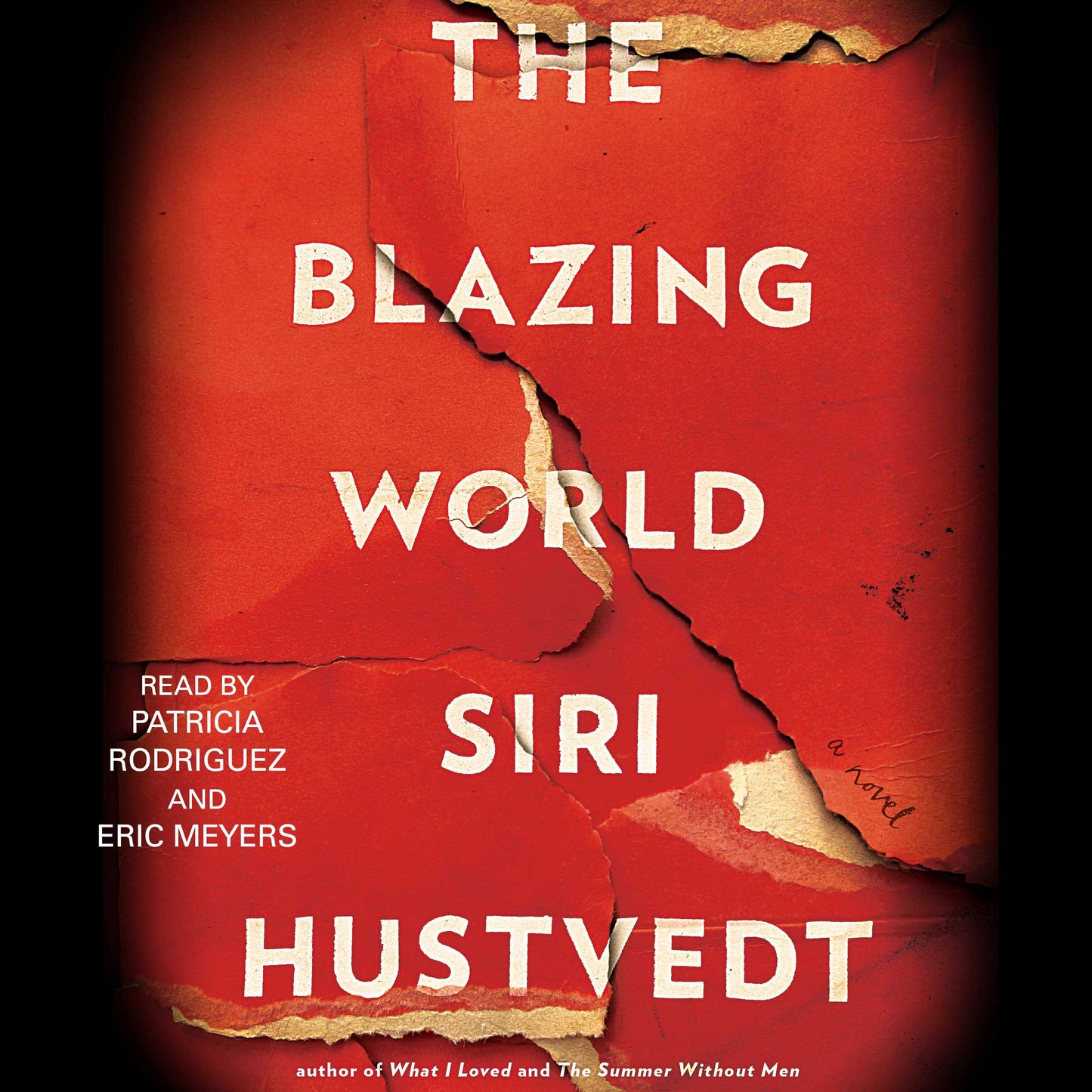 Blazing World: A Novel