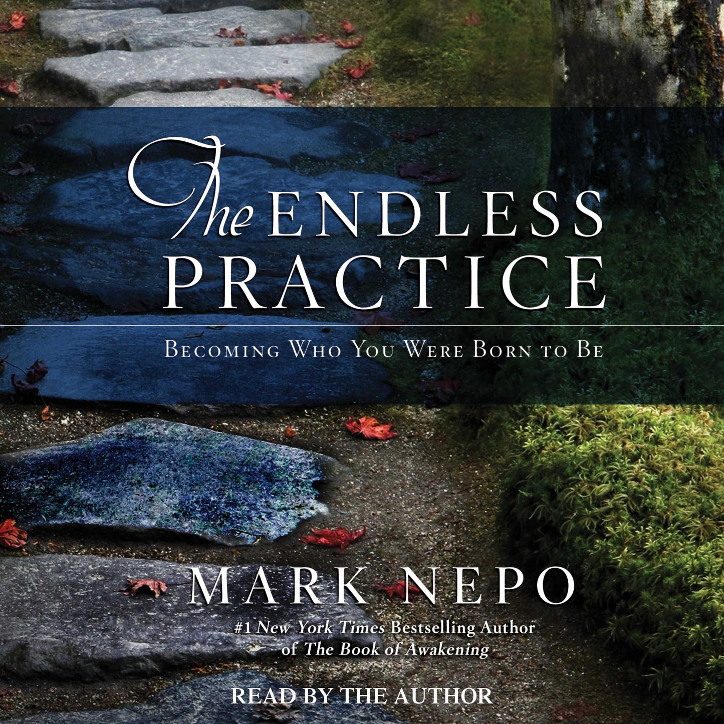 Endless Practice: Becoming Who You Were Born to Be
