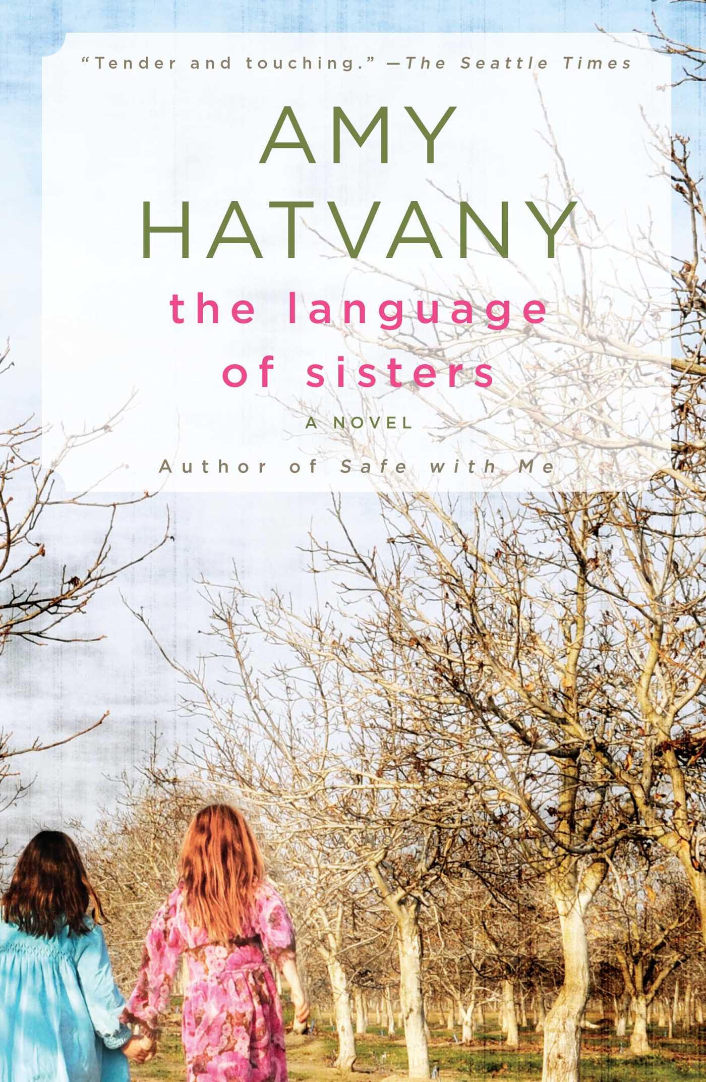 Language of Sisters: A Novel