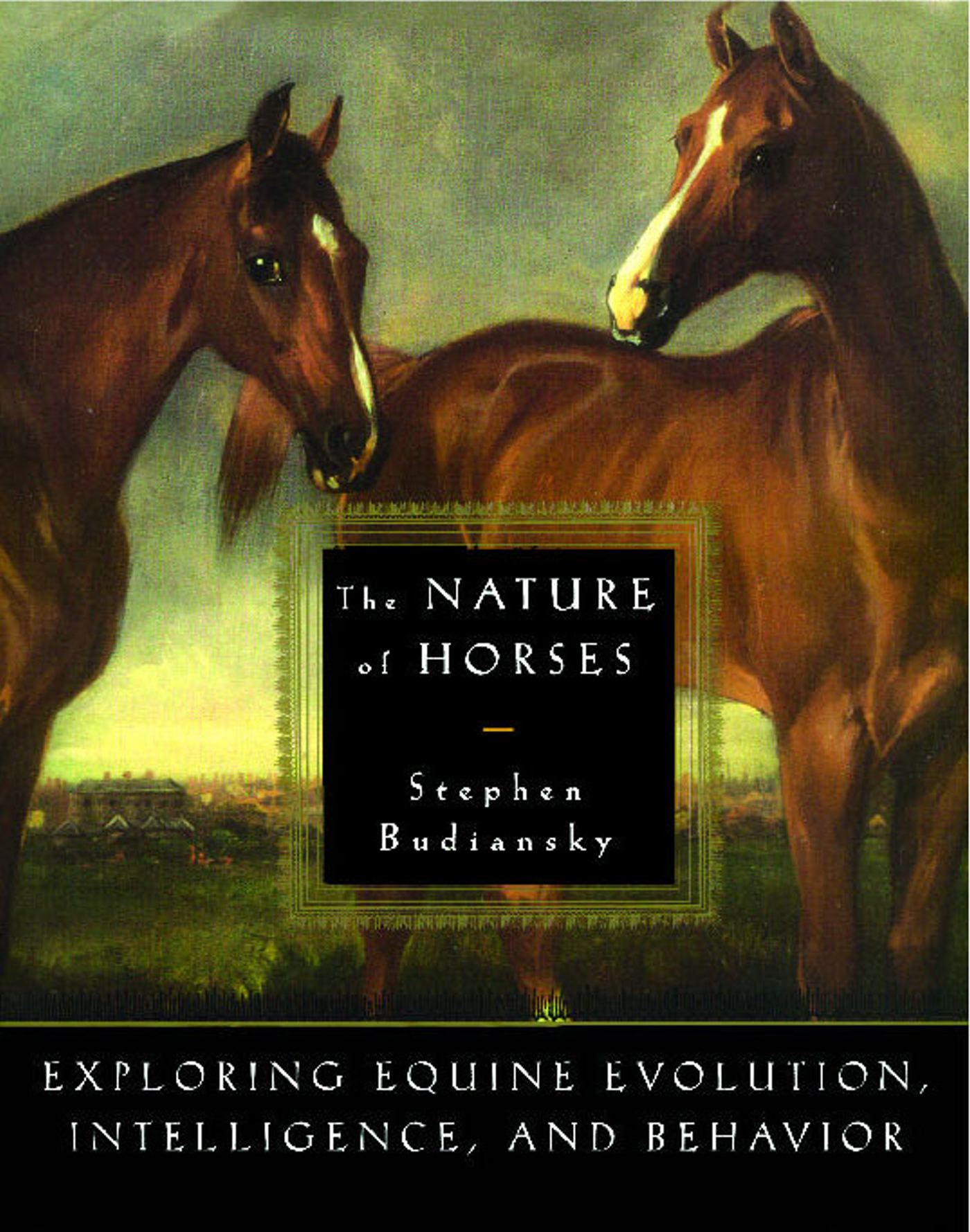 Nature of Horses