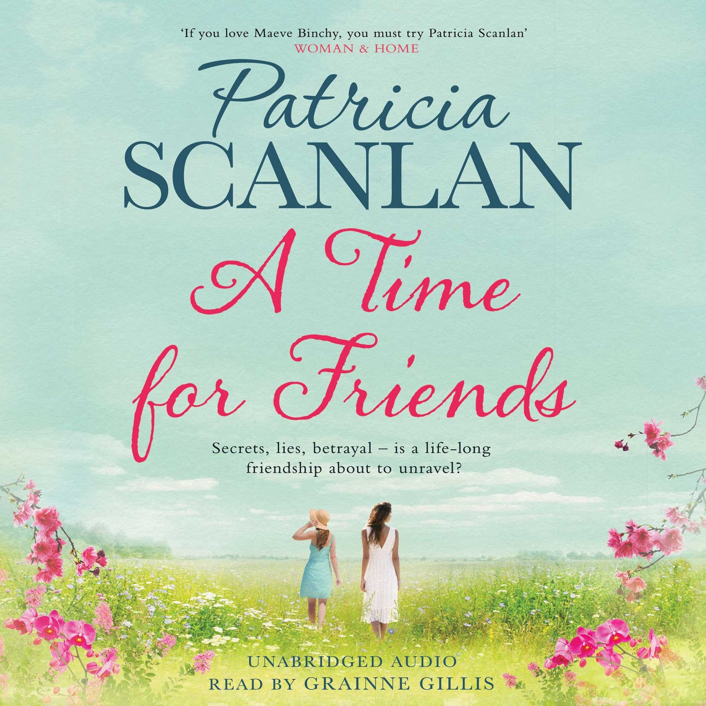 Time For Friends: Warmth, wisdom and love on every page - if you treasured Maeve Binchy, read Patricia Scanlan