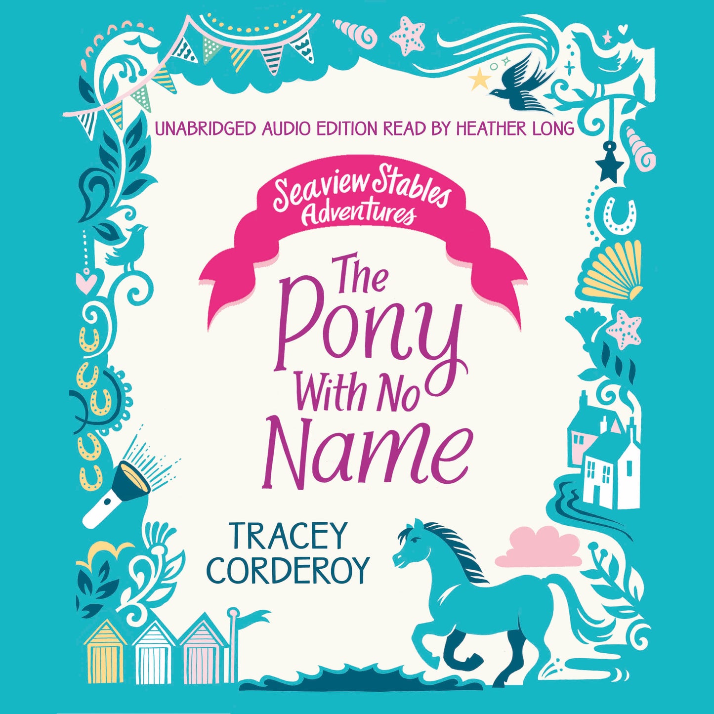 Pony With No Name
