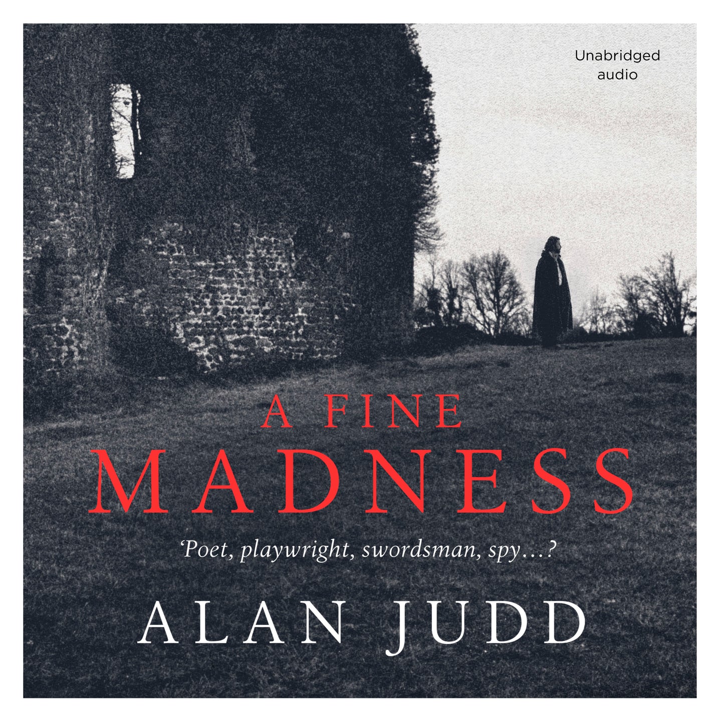 Fine Madness: Sunday Times 'Historical Fiction Book of the Month'