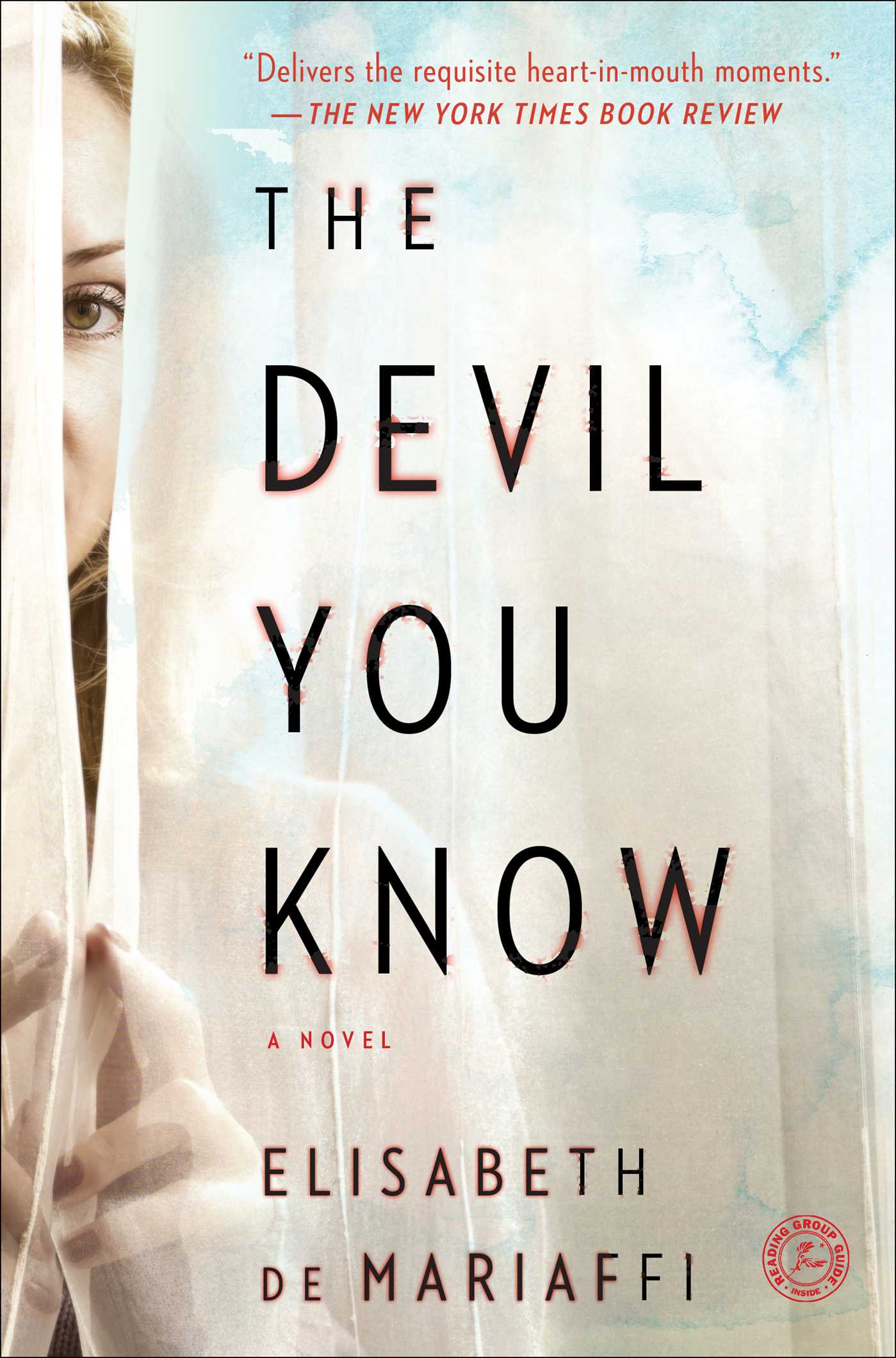 Devil You Know: A Novel