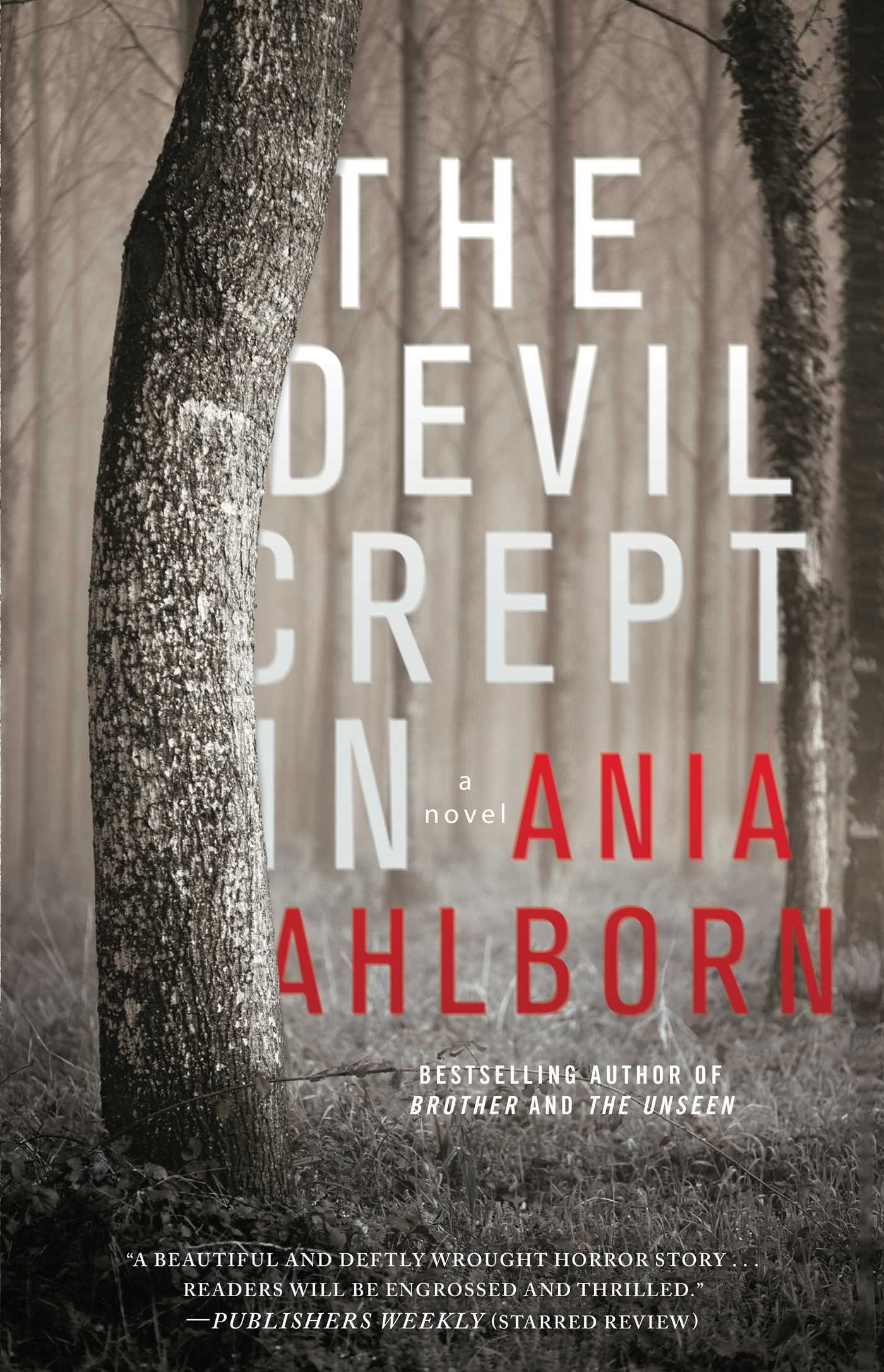 Devil Crept In: A Novel