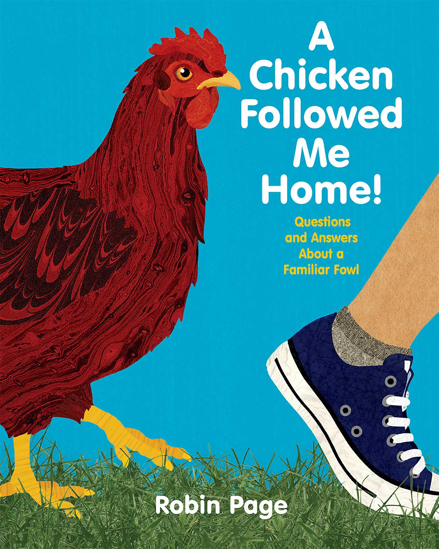 Chicken Followed Me Home!: Questions and Answers about a Familiar Fowl