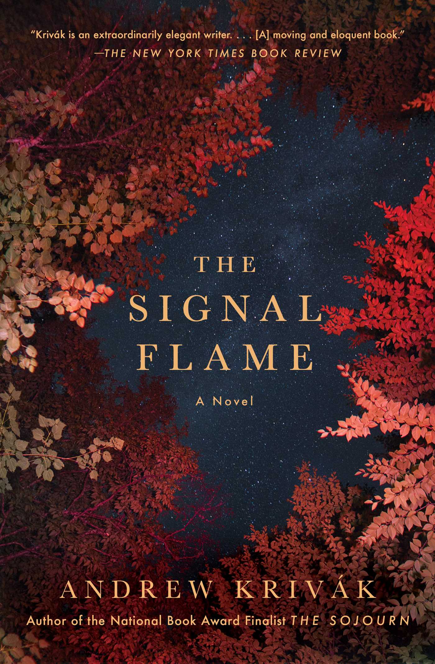 Signal Flame: A Novel