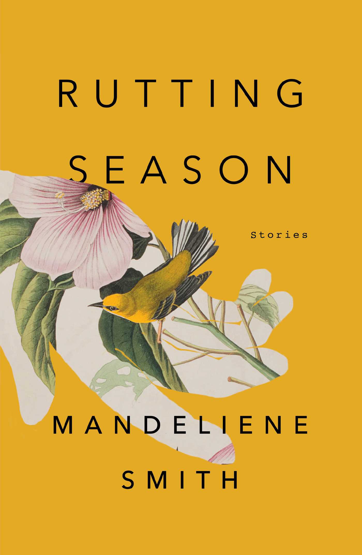Rutting Season