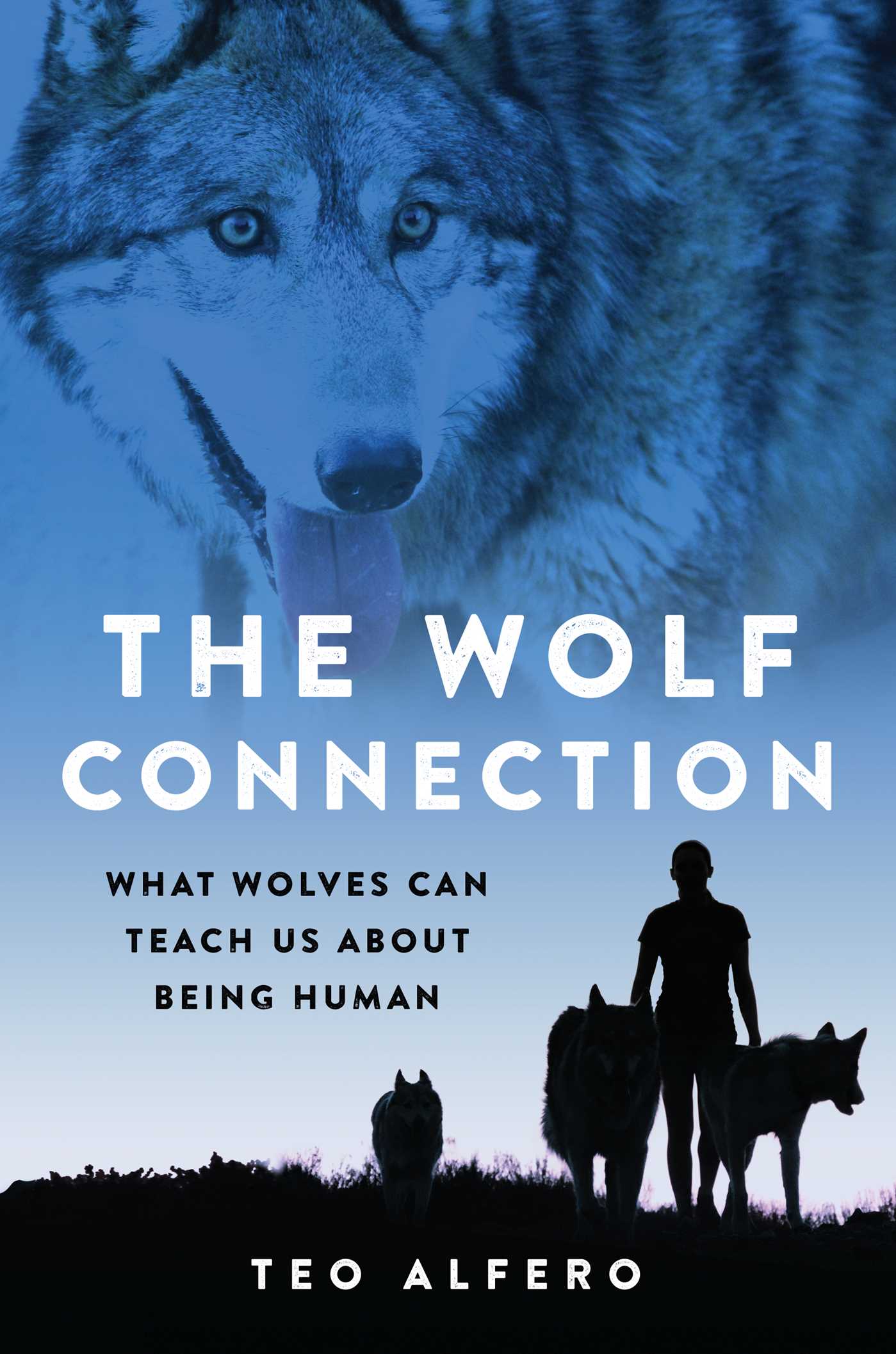 Wolf Connection: What Wolves Can Teach Us about Being Human
