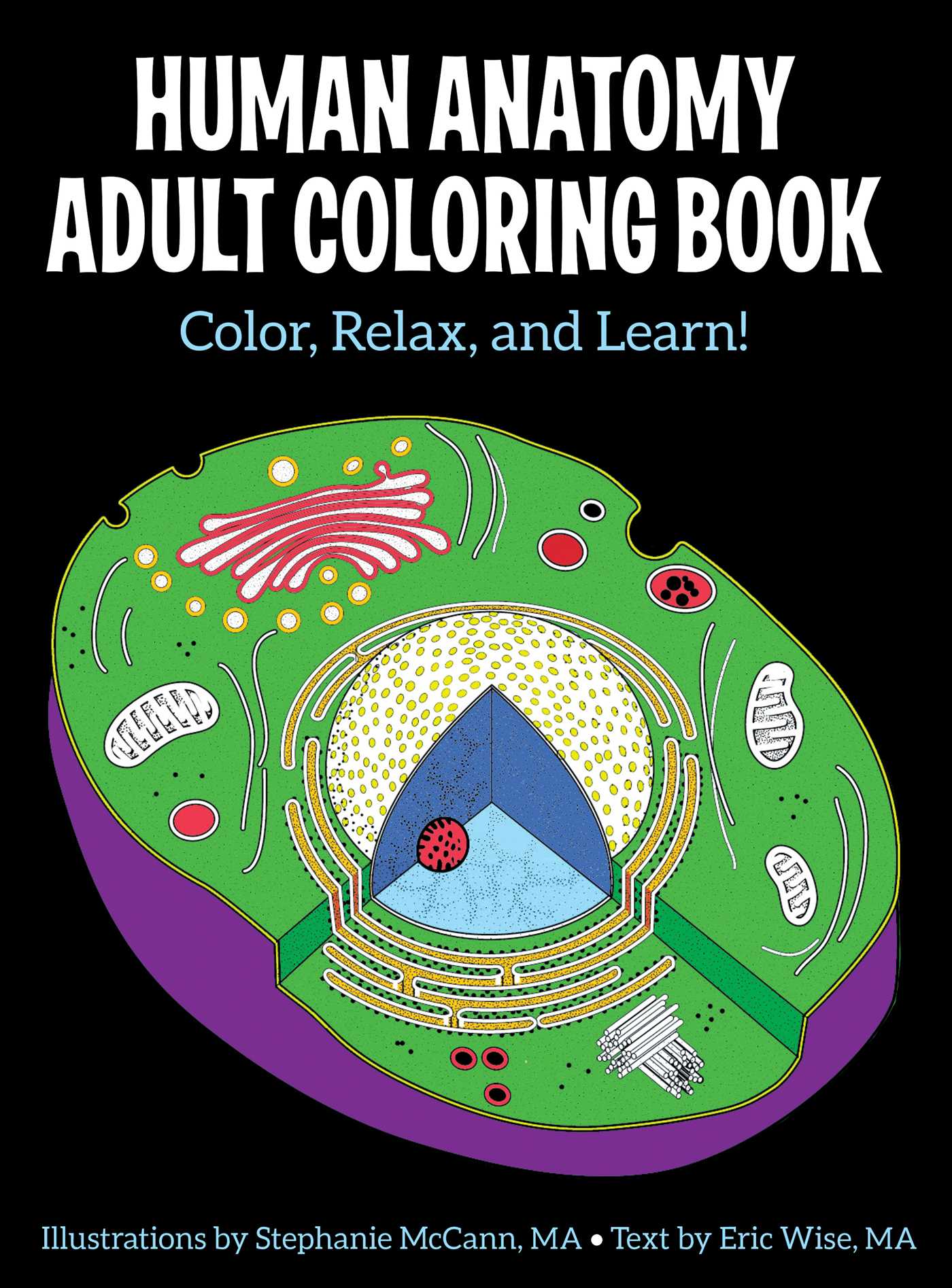 Human Anatomy Adult Coloring  Book