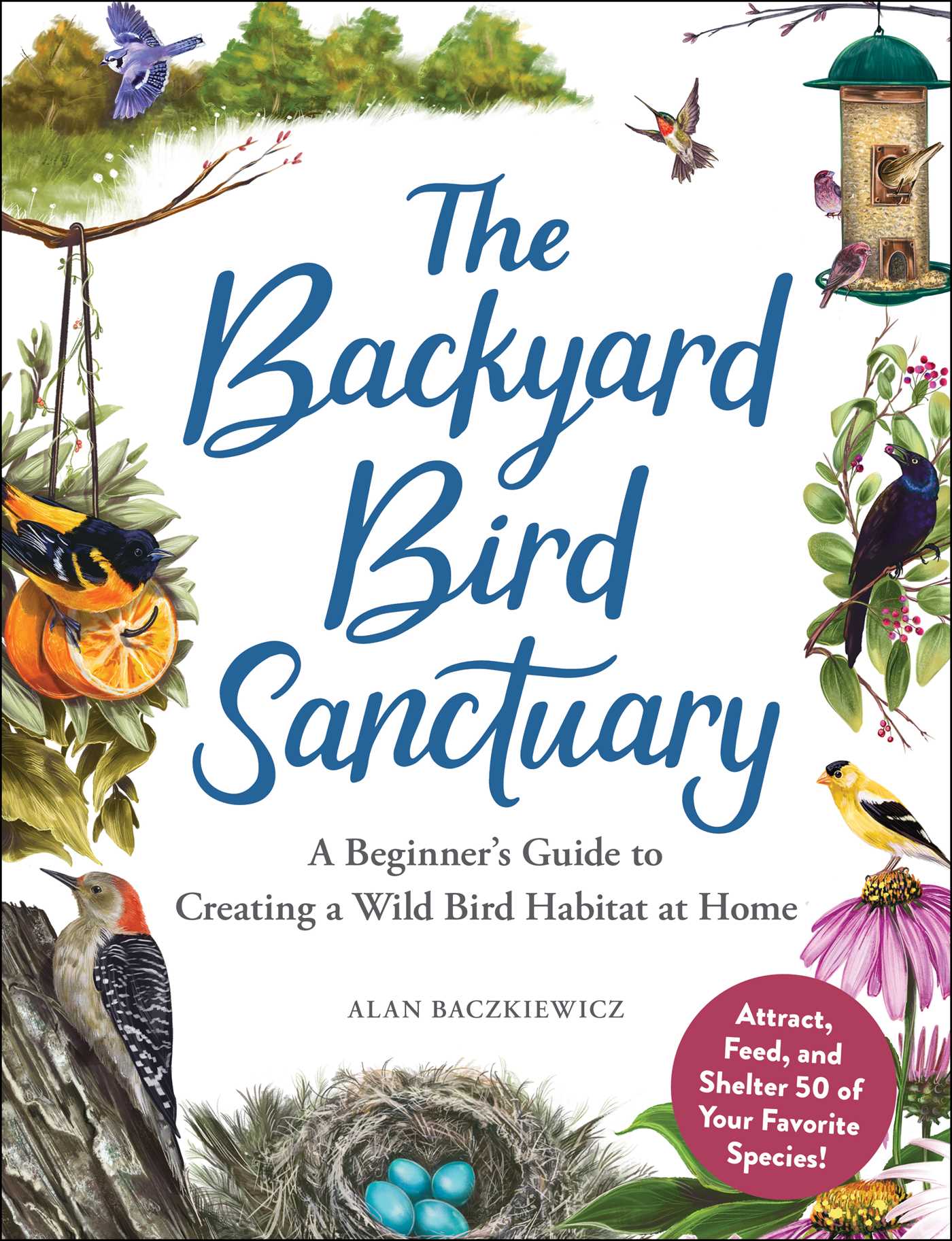 Backyard Bird Sanctuary: A Beginner's Guide to Creating a Wild Bird Habitat at Home