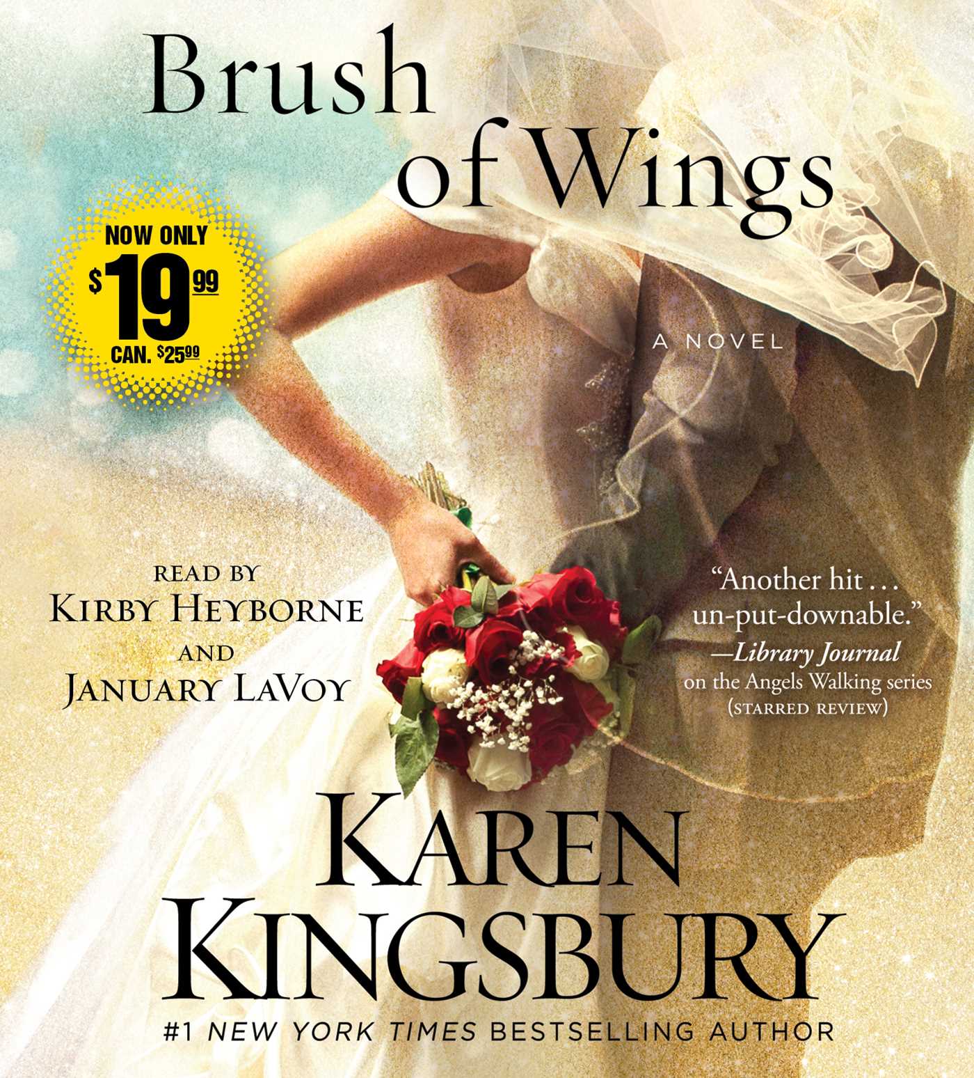 Brush of Wings: A Novel