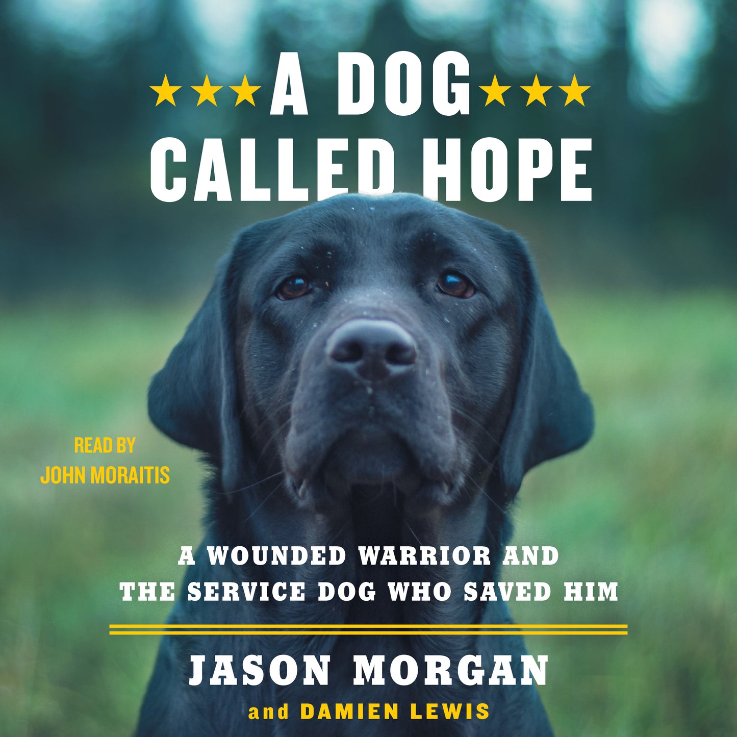 Dog Called Hope: A Wounded Warrior and the Service Dog Who Saved Him