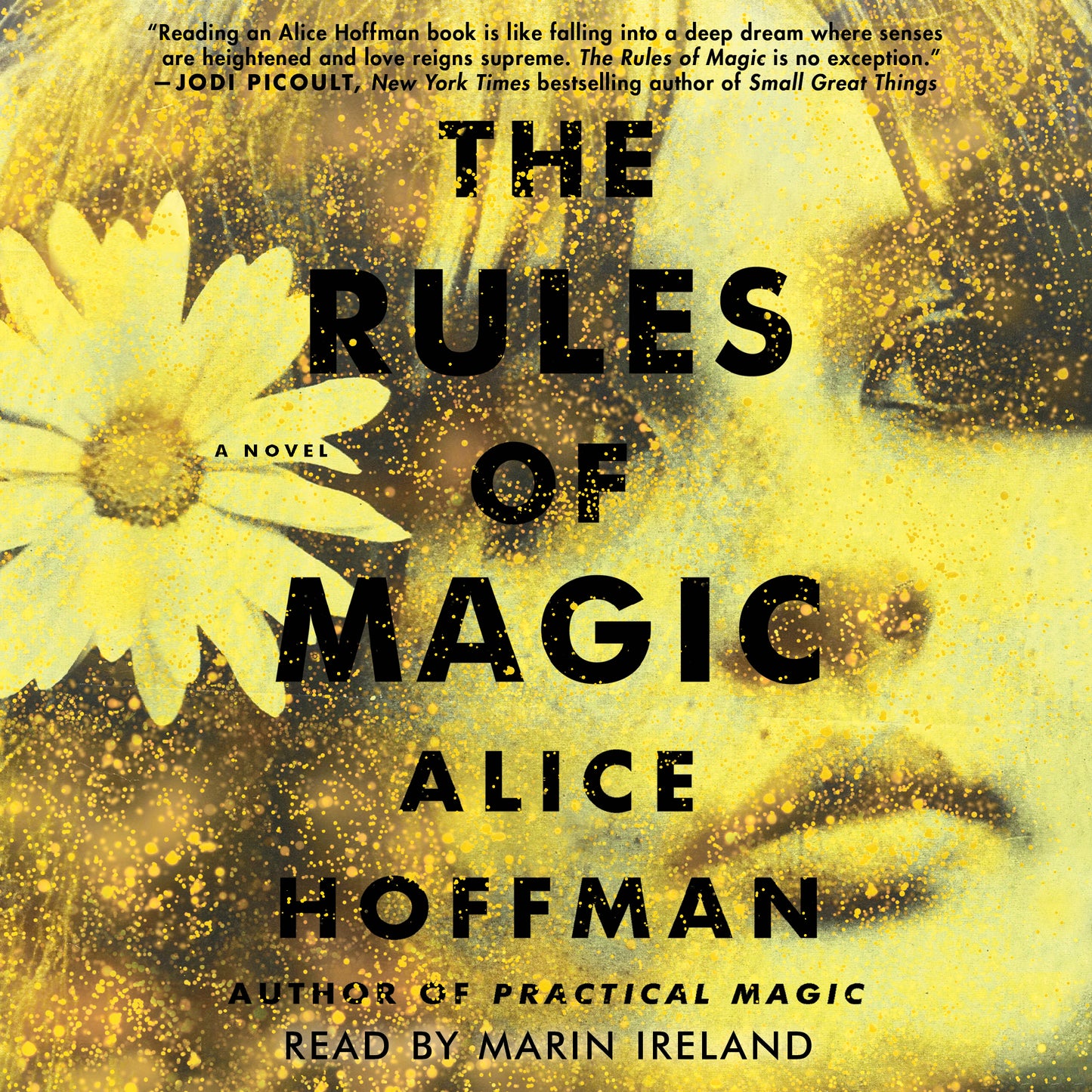 Rules of Magic: A Novel