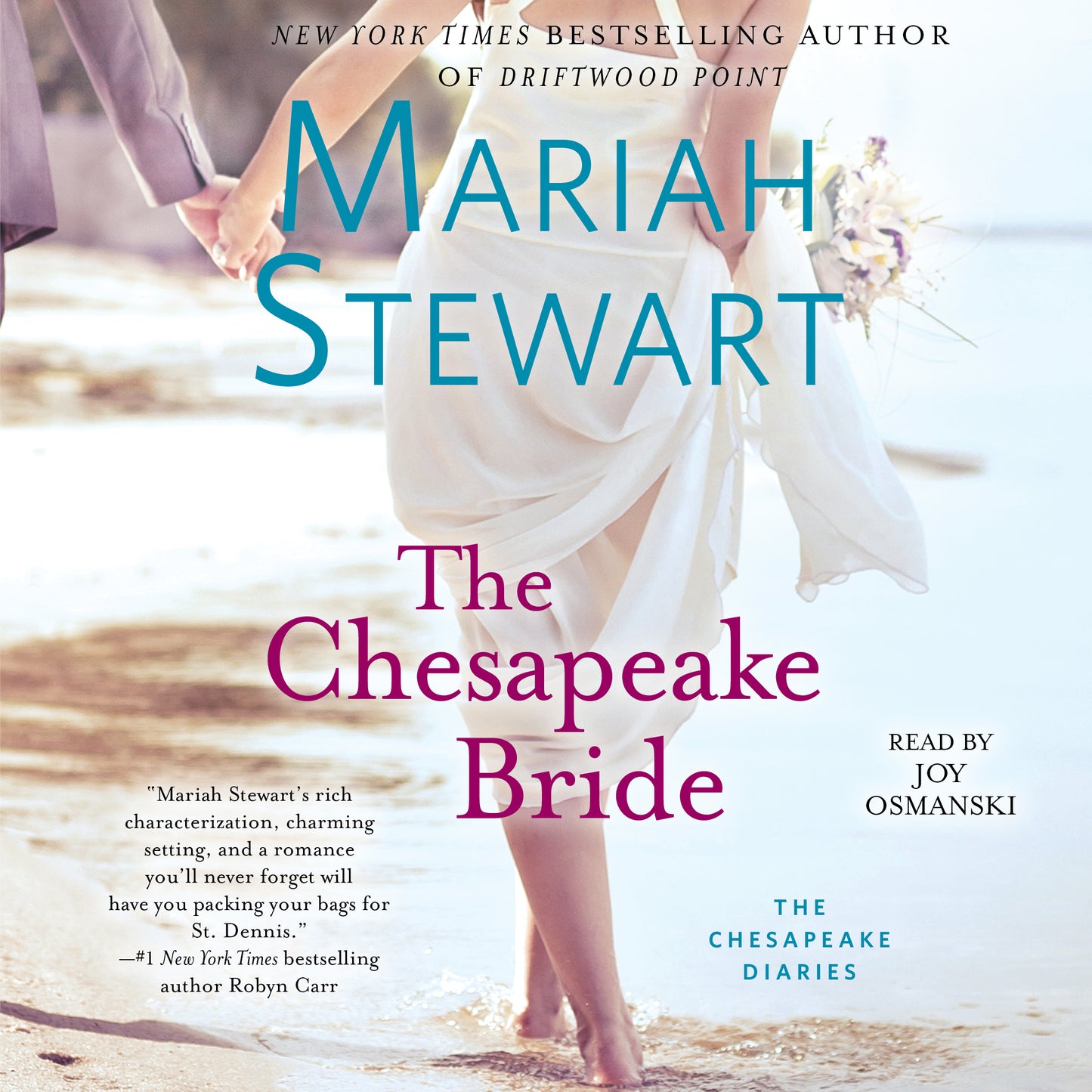 Chesapeake Bride: A Novel