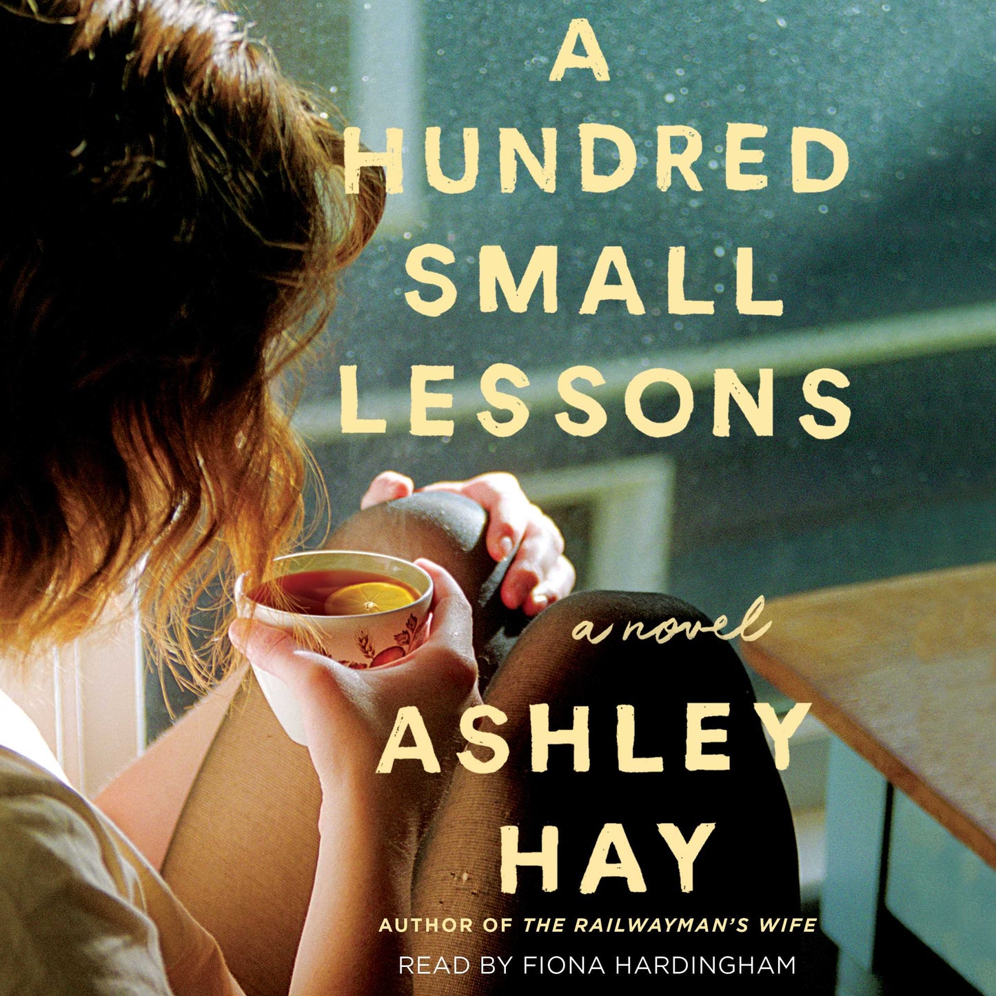 Hundred Small Lessons: A Novel
