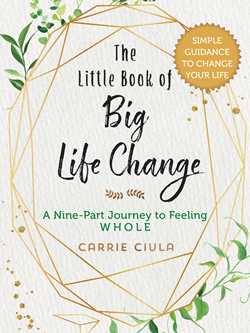 The Little Book of Big Life Change