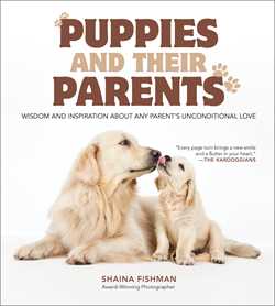 Puppies and Their Parents